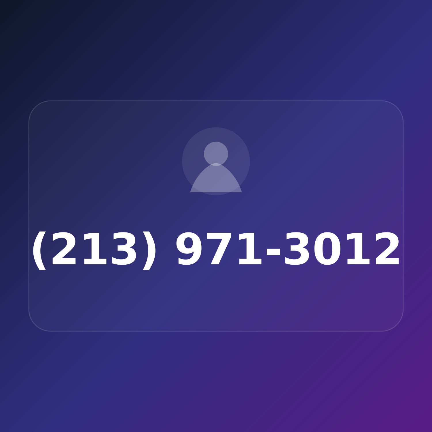 (213) 971-3012 product image