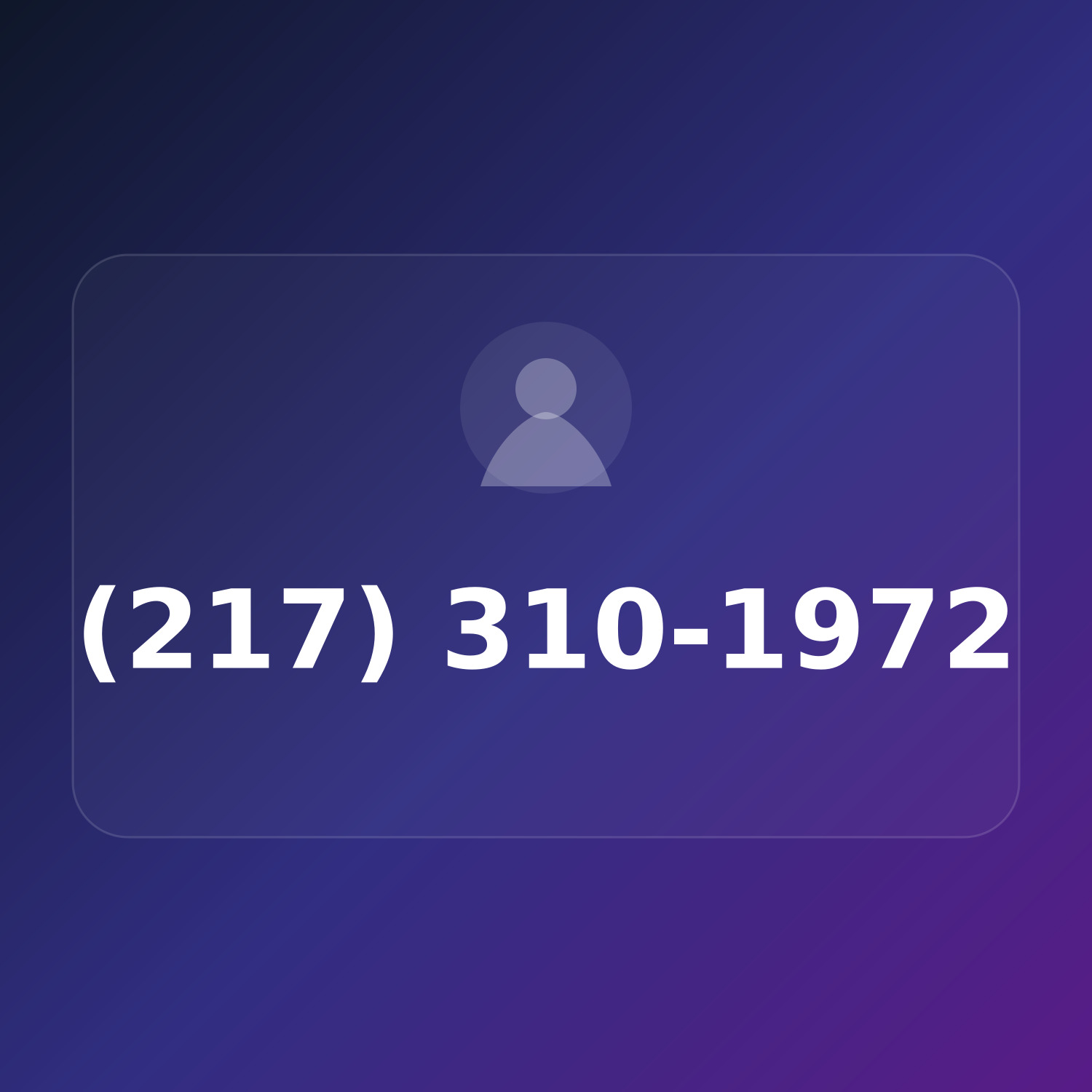 (217) 310-1972 product image