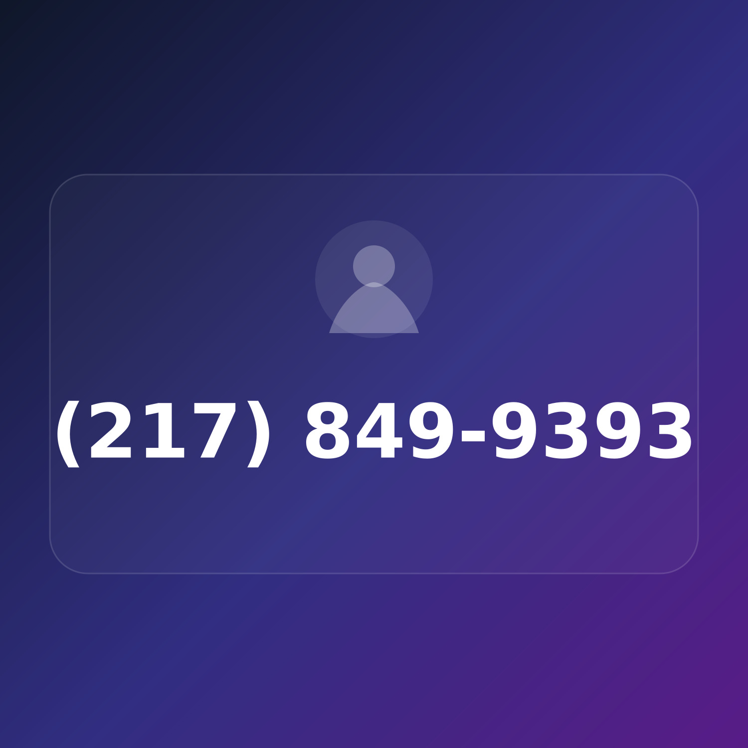 (217) 849-9393 product image