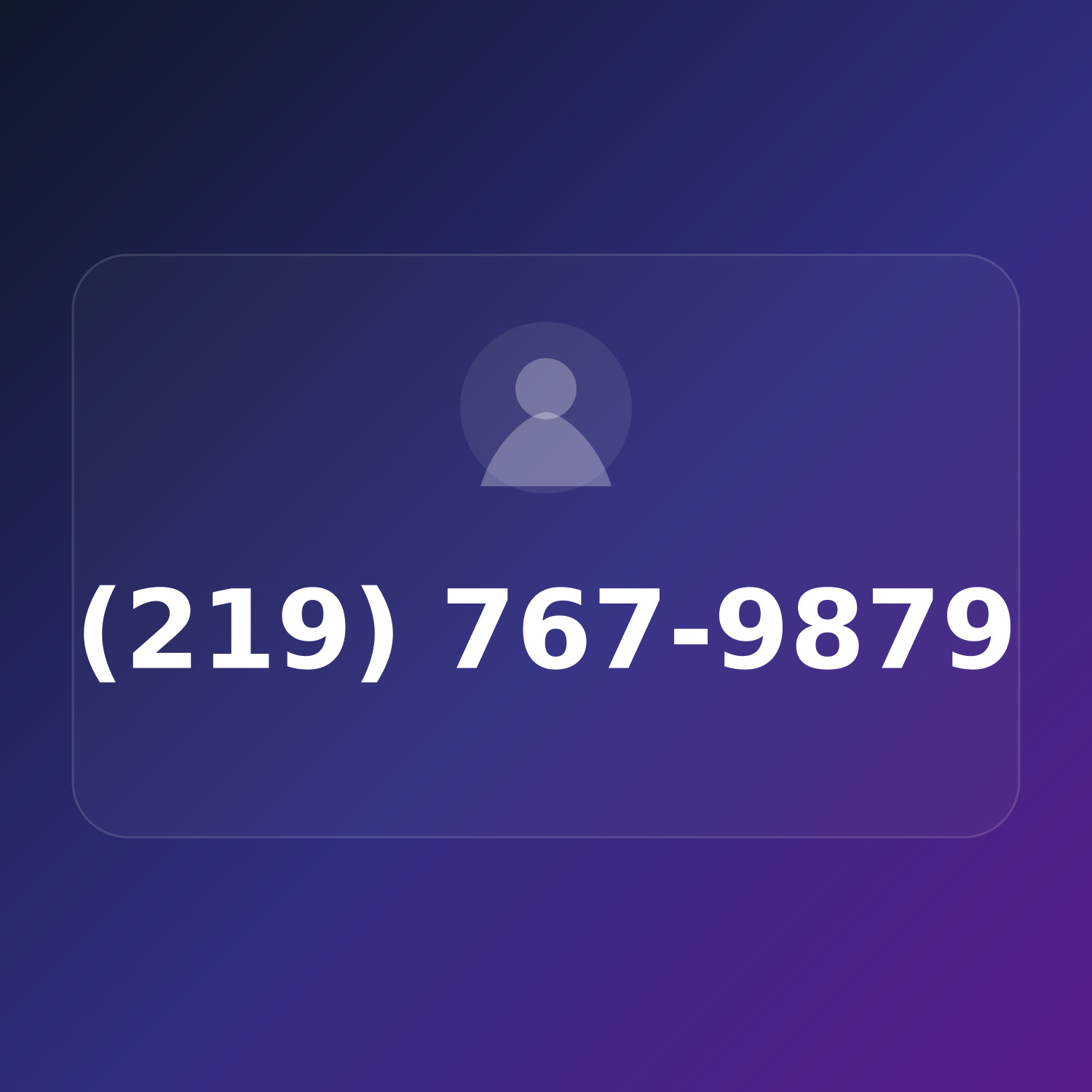 (219) 767-9TRY product image