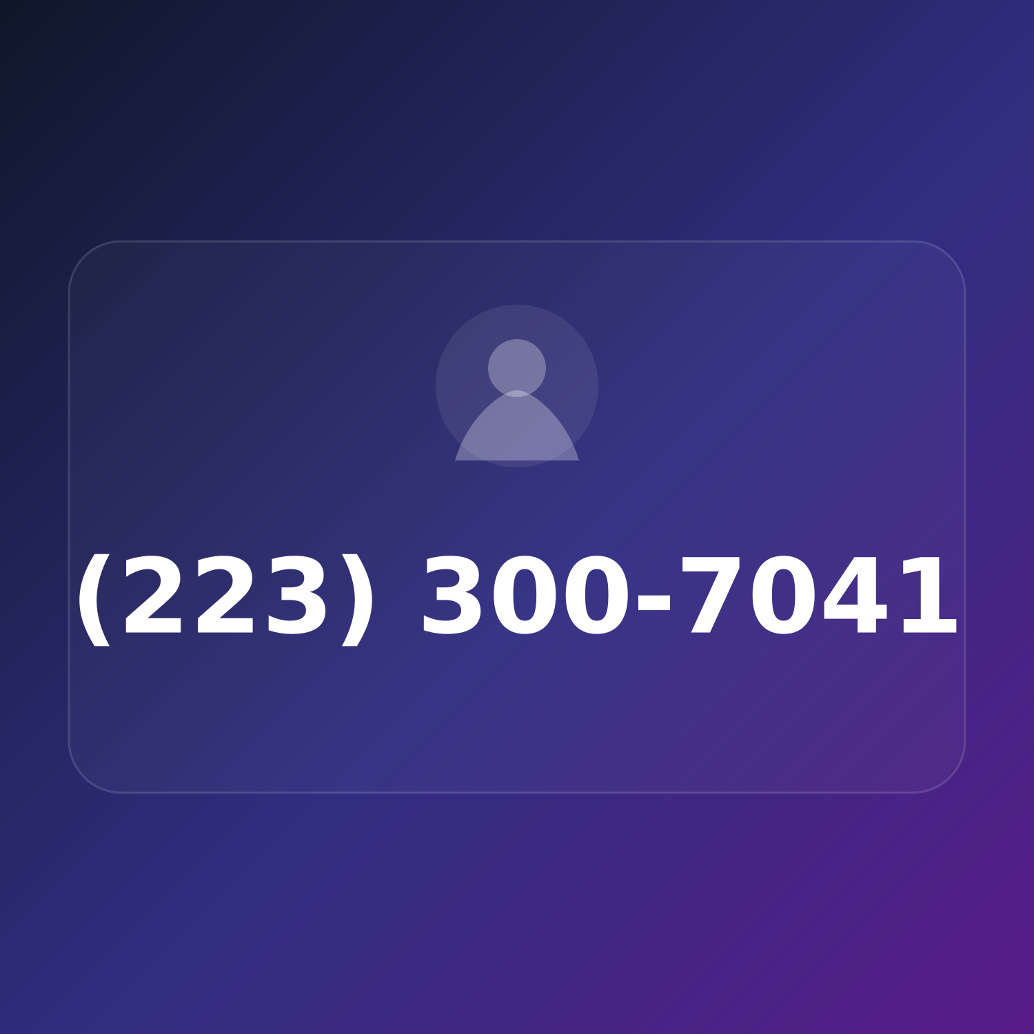 (223) 300-7041 product image