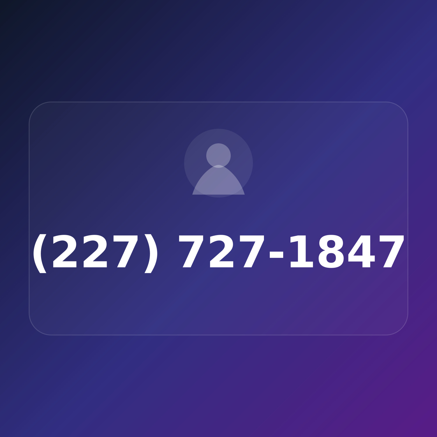(227) 727-1VIP product image
