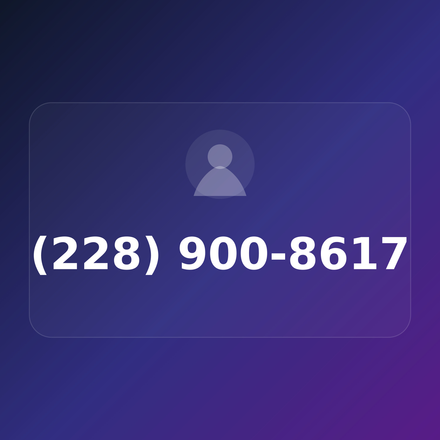 (228) 900-8617 product image