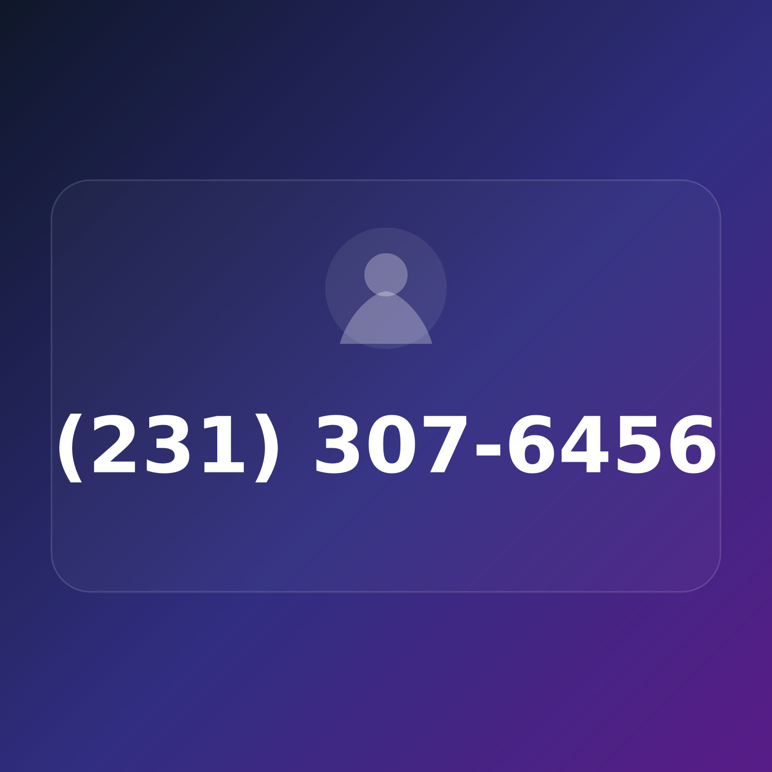 (231) 307-6456 product image