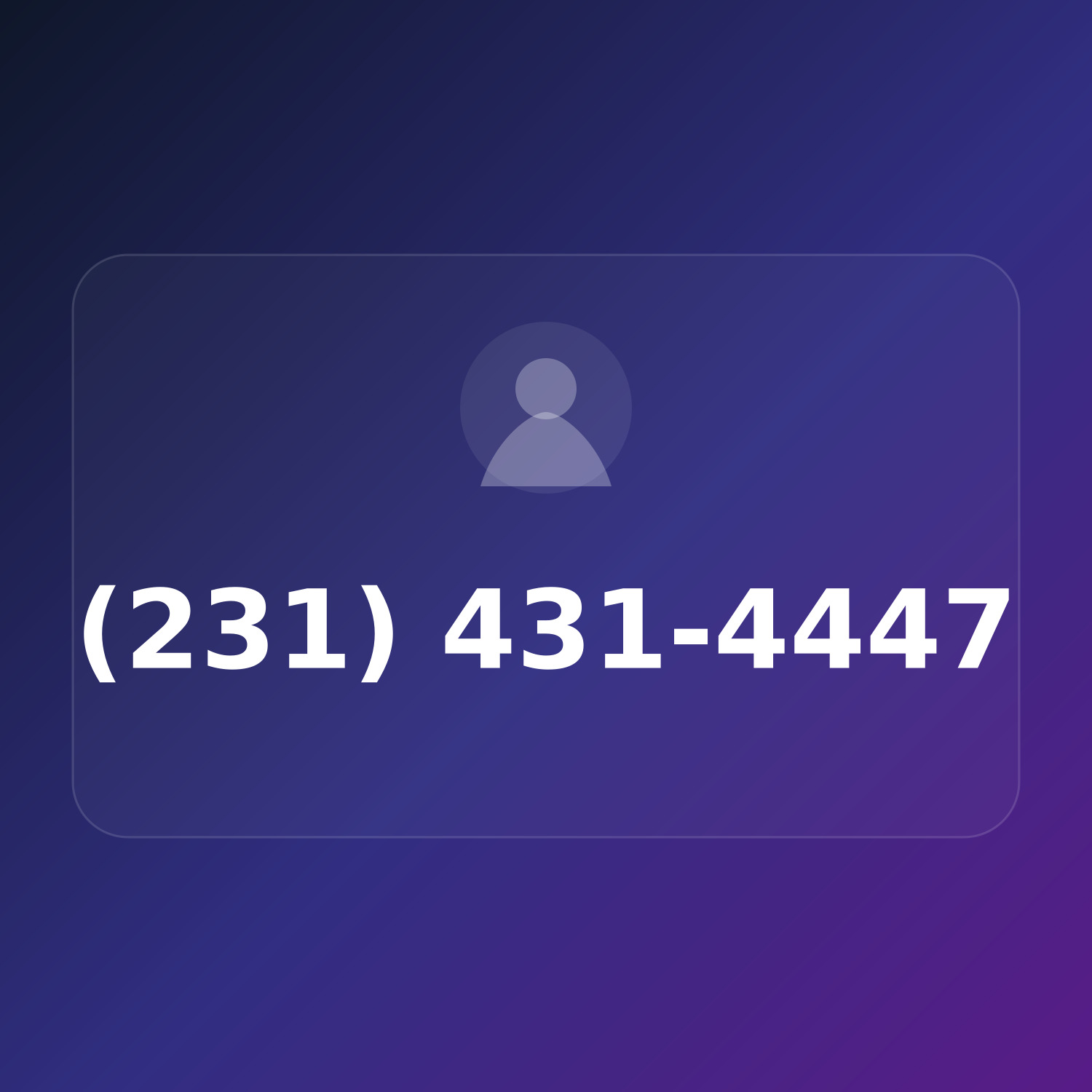 (231) 431-GIGS product image
