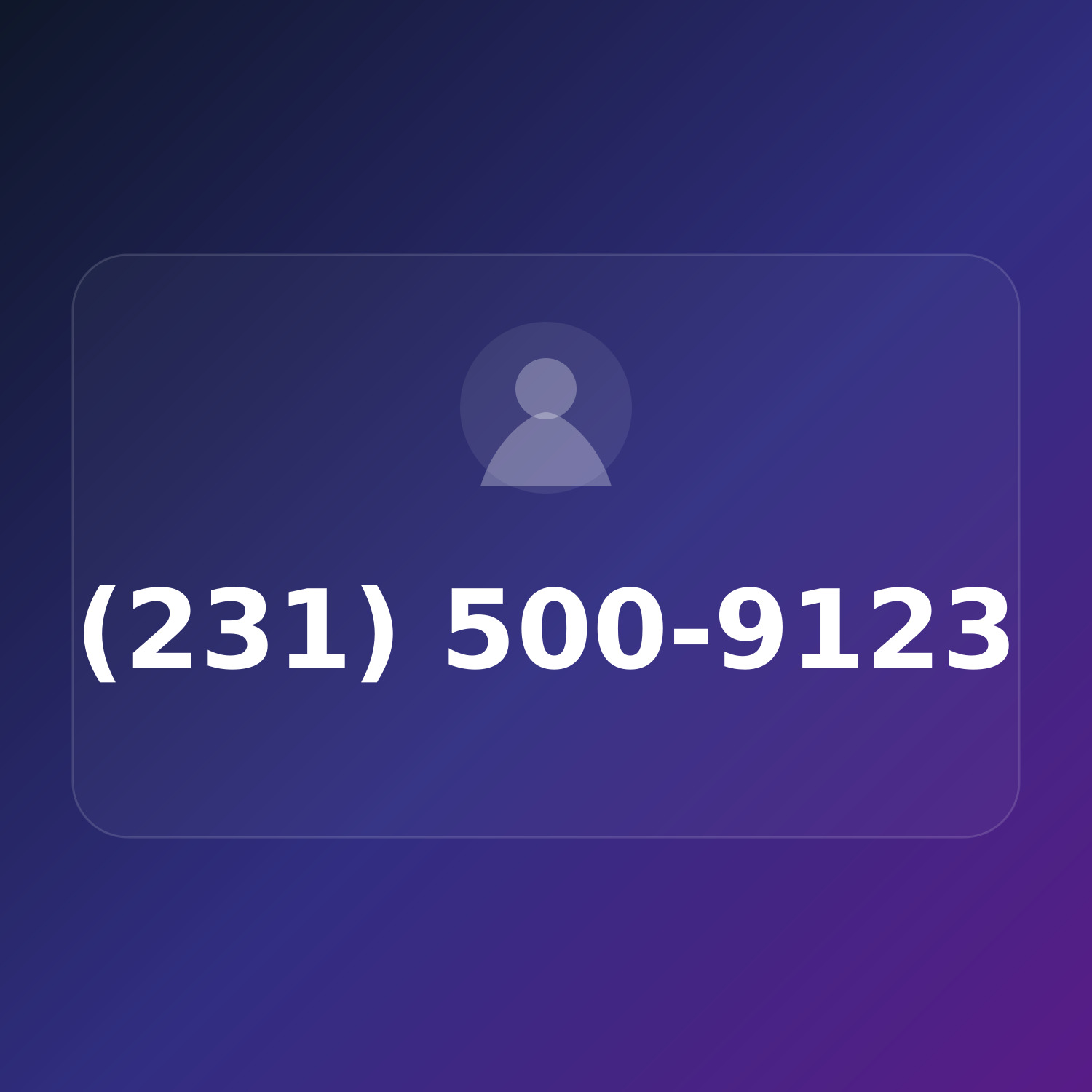 (231) 500-9123 product image