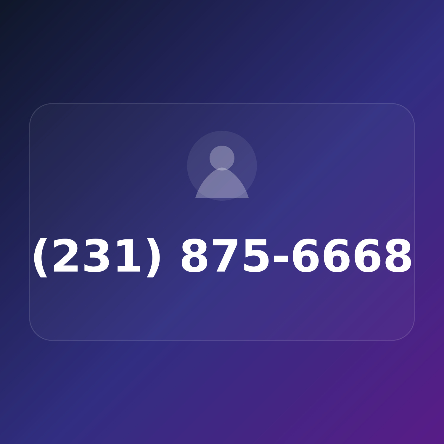 (231) 875-6668 product image