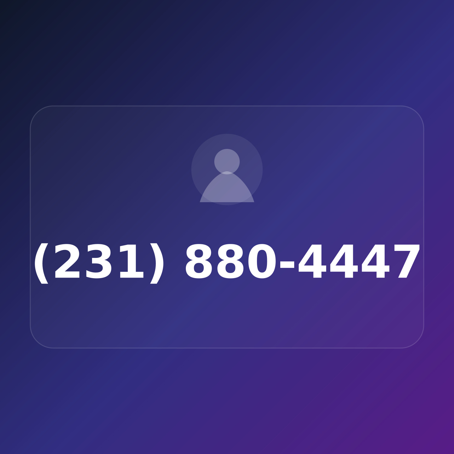 (231) 880-GIGS product image