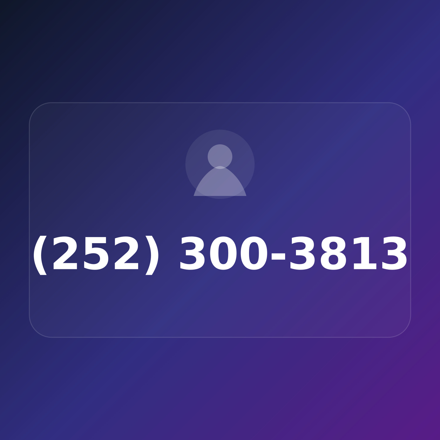 (252) 300-3813 product image