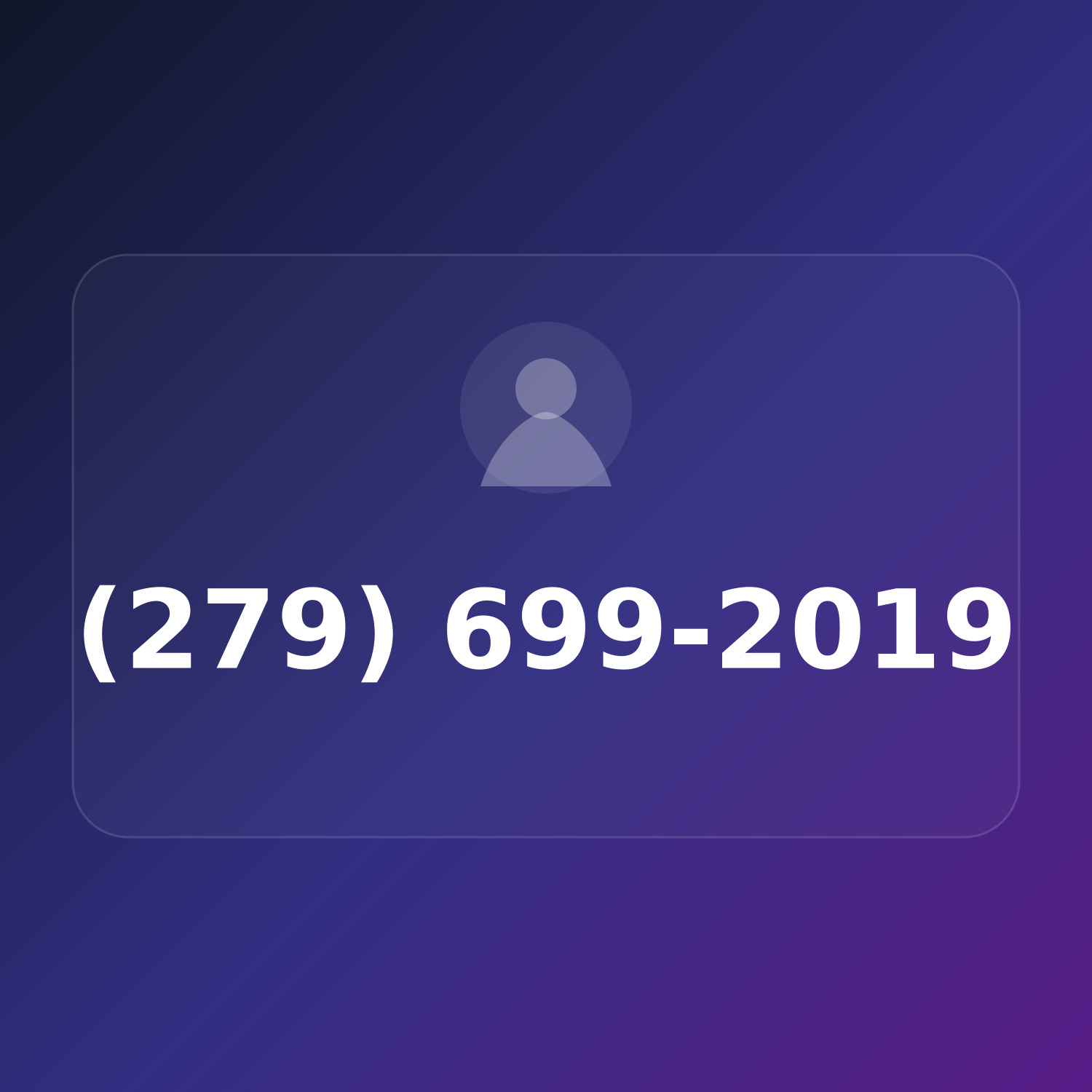 (279) 699-2019 product image