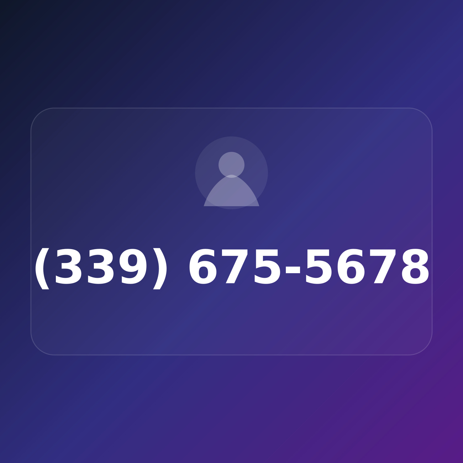 (339) 675-LOST product image