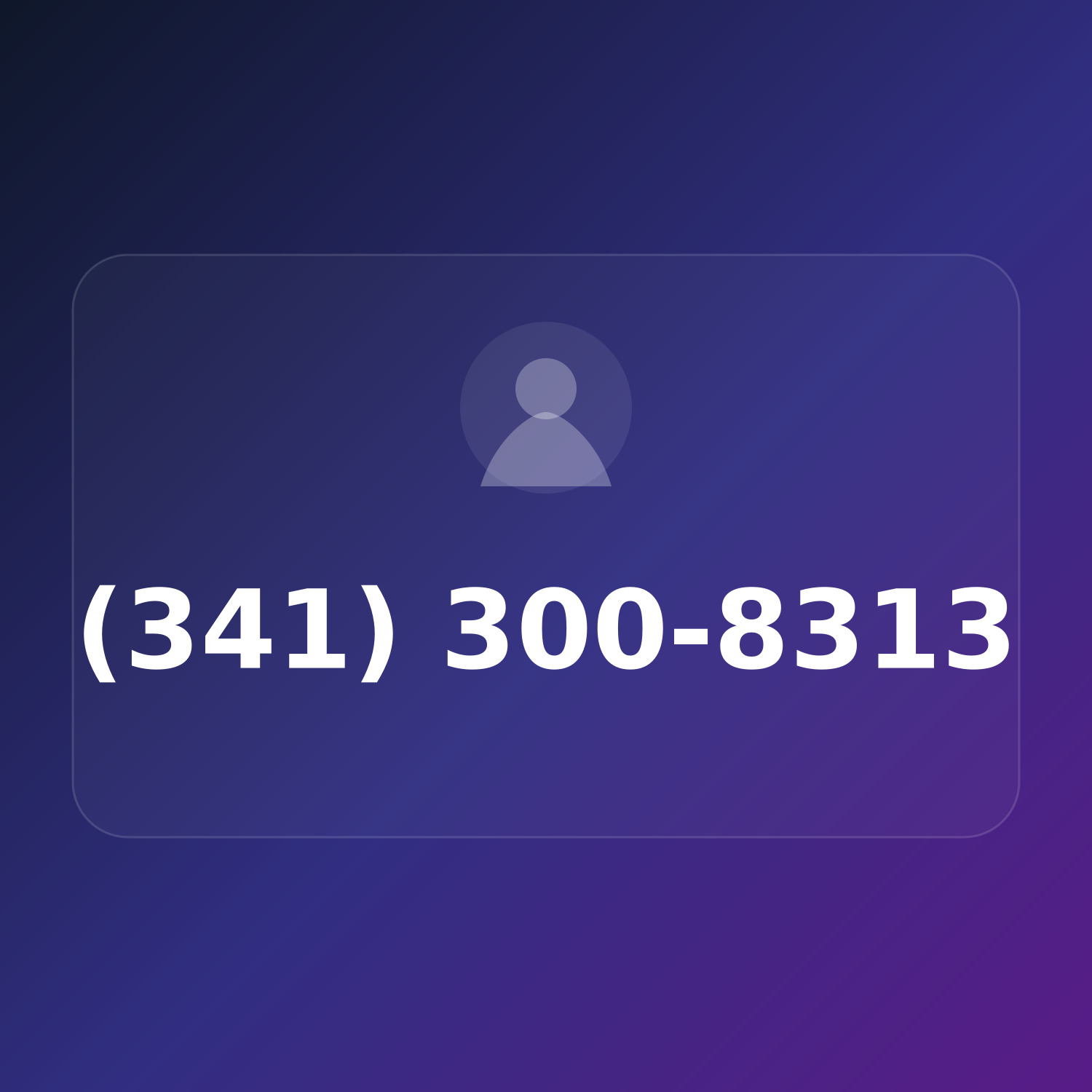 (341) 300-8313 product image