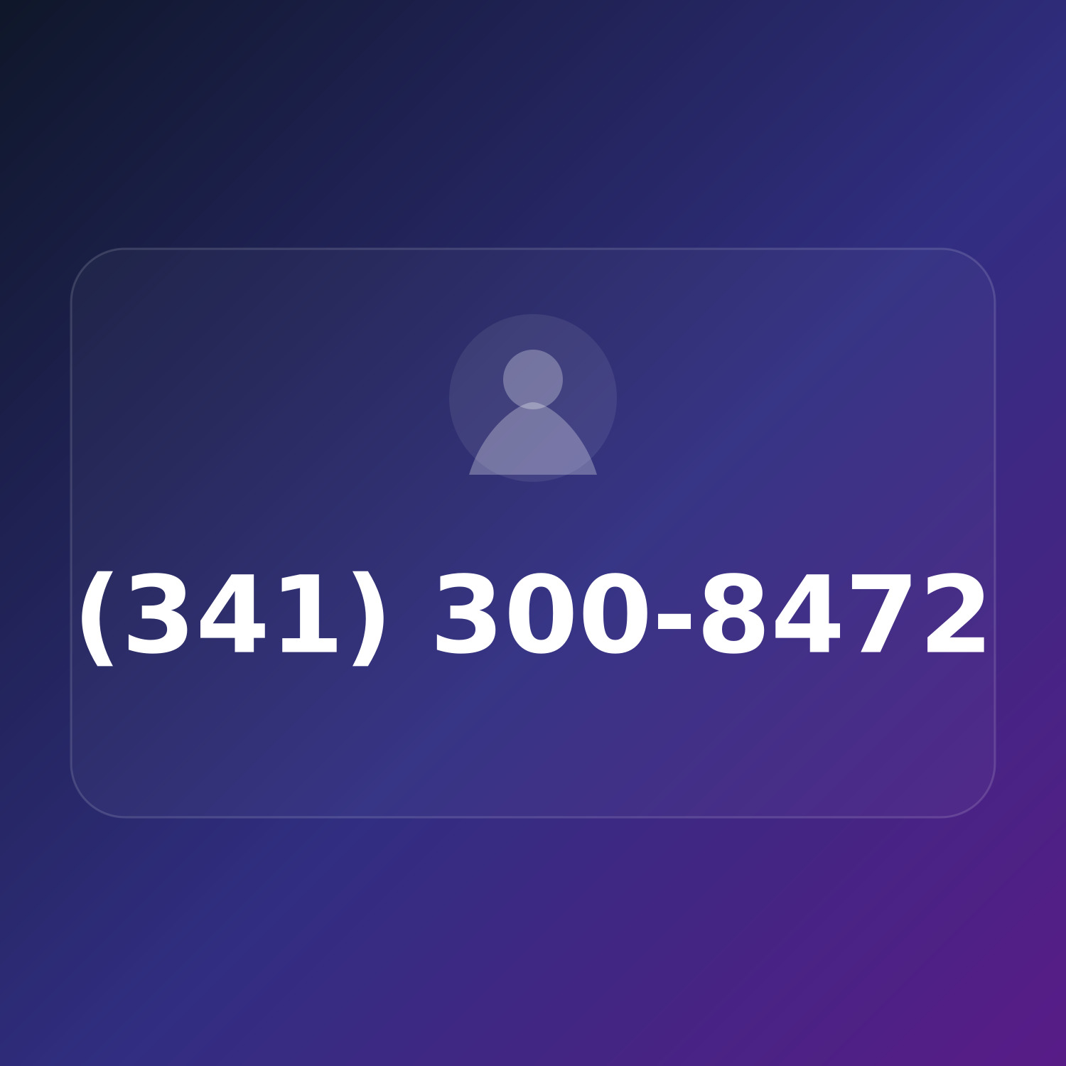 (341) 300-VISA product image