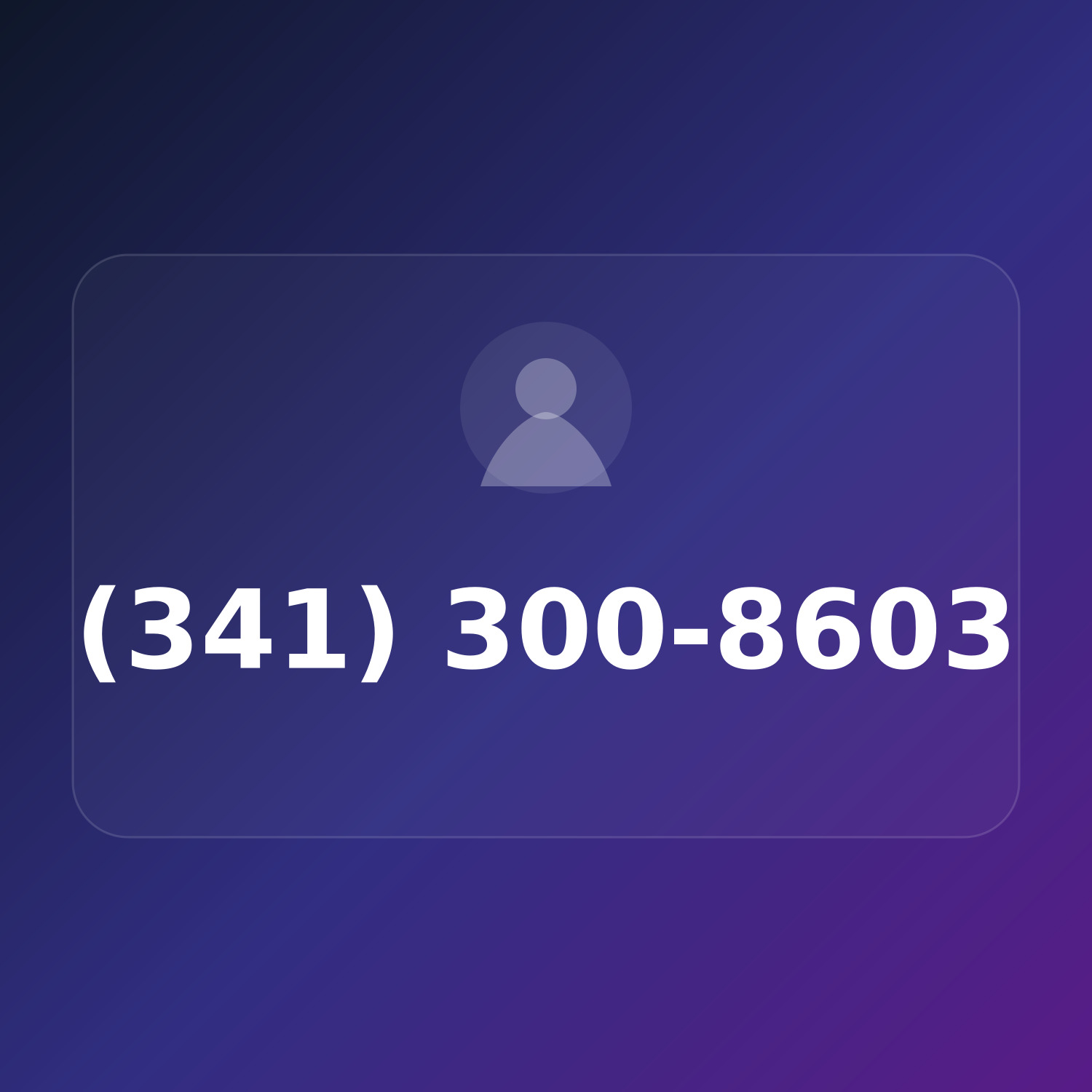 (341) 300-8603 product image