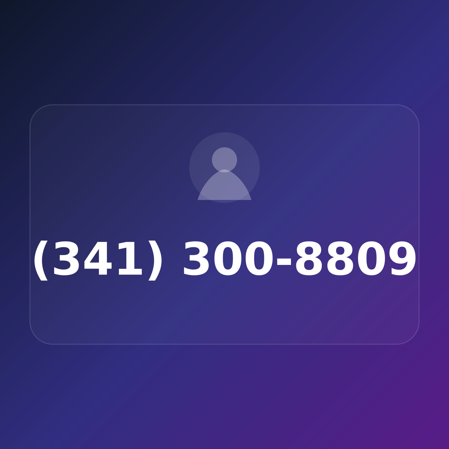 (341) 300-8809 product image