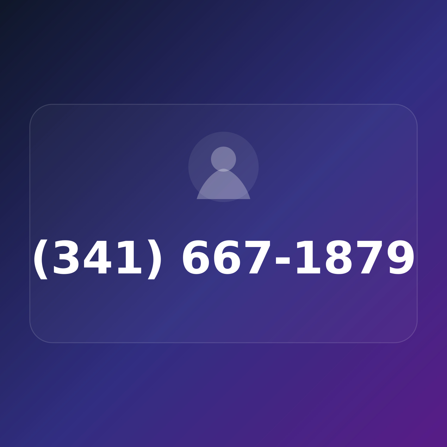 (341) 667-1TRY product image