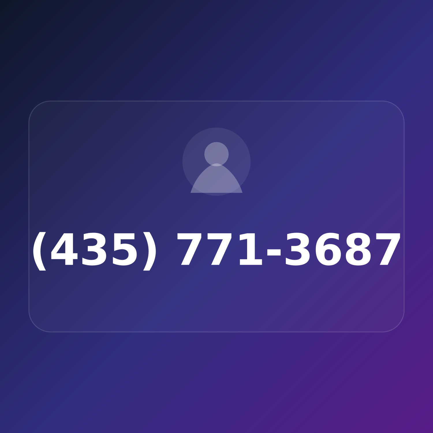(435) 771-DOTS product image