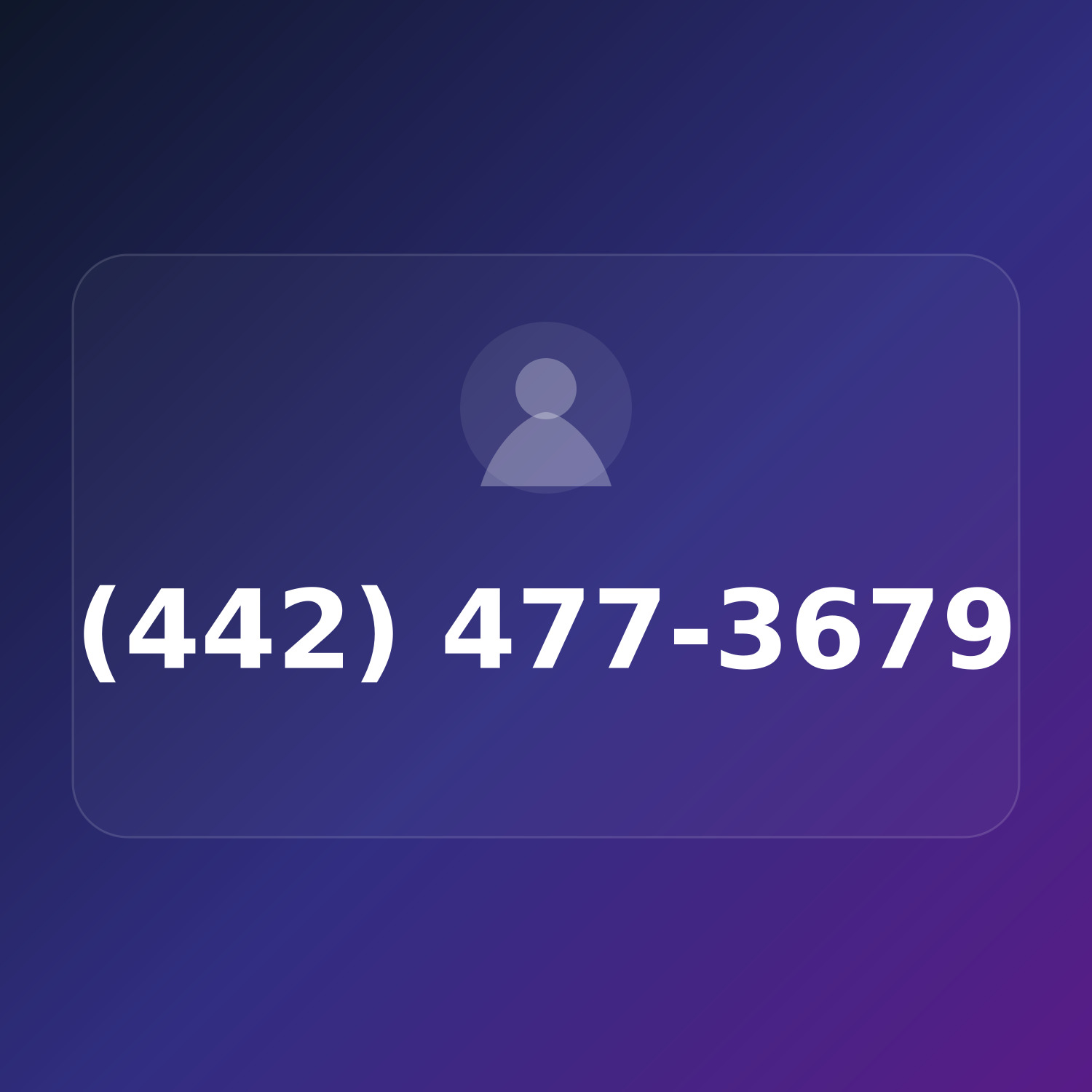 (442) 47-SEO-79 product image