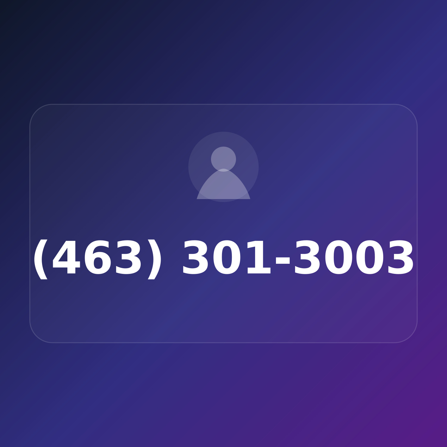 (463) 301-3003 product image