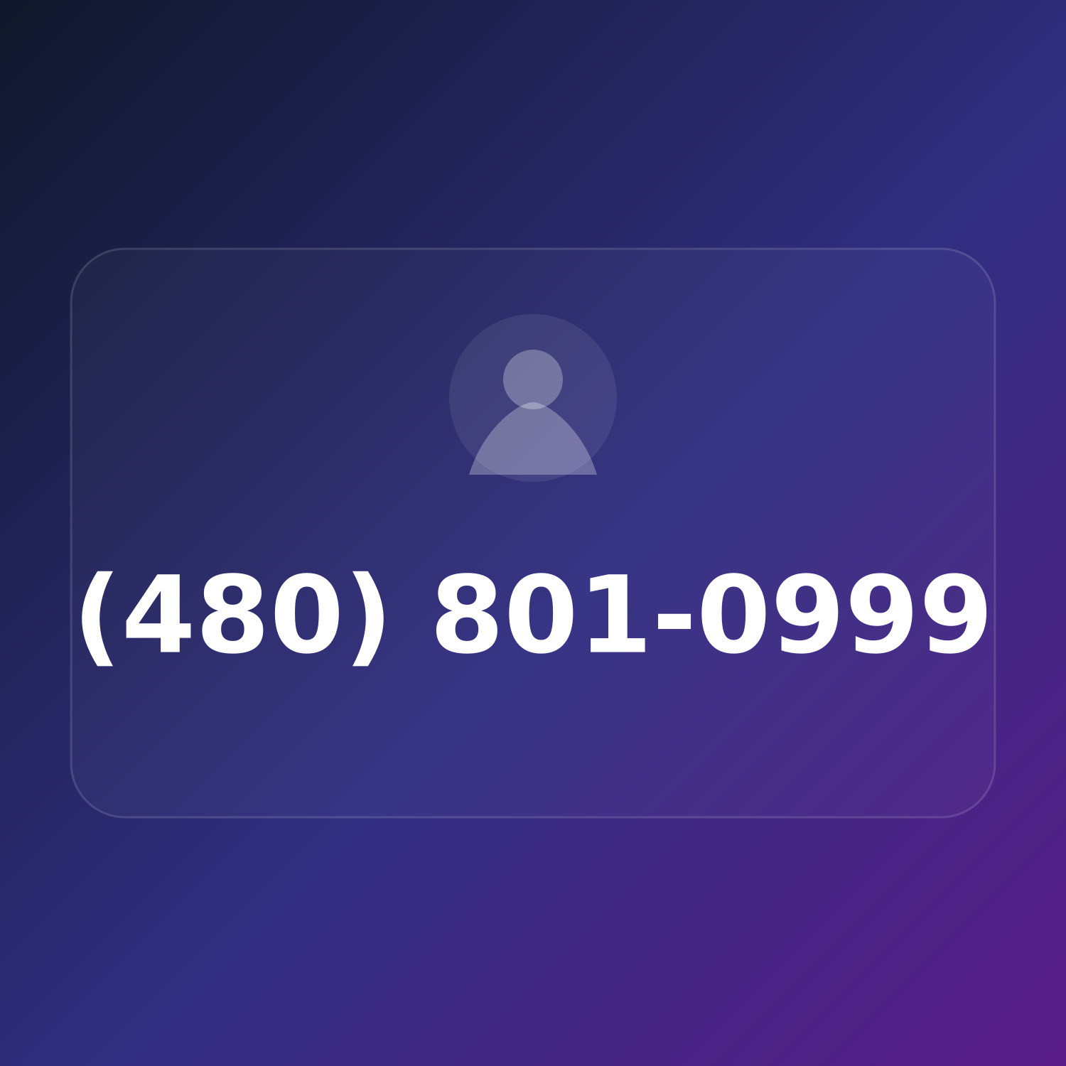 (480) 801-0WWW product image