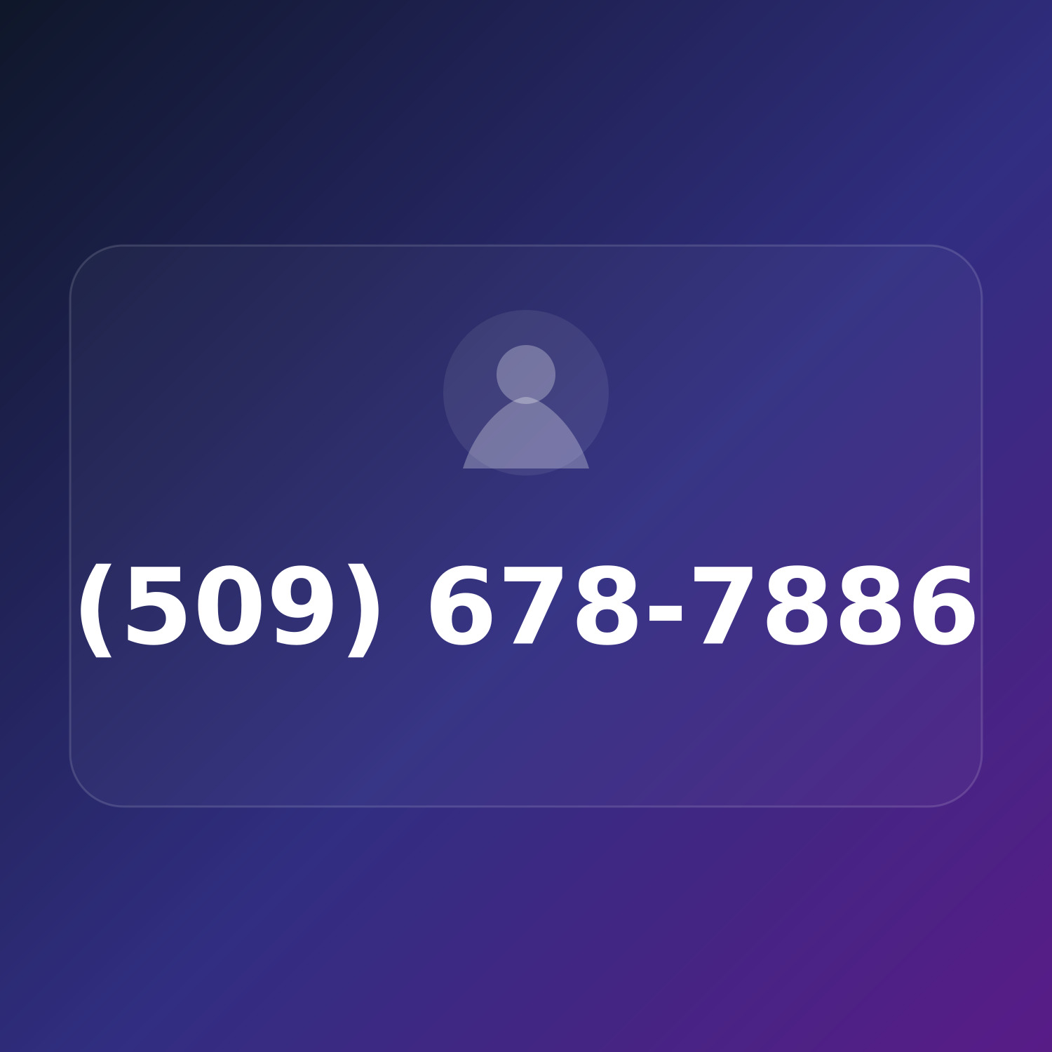 (509) 678-STUN product image