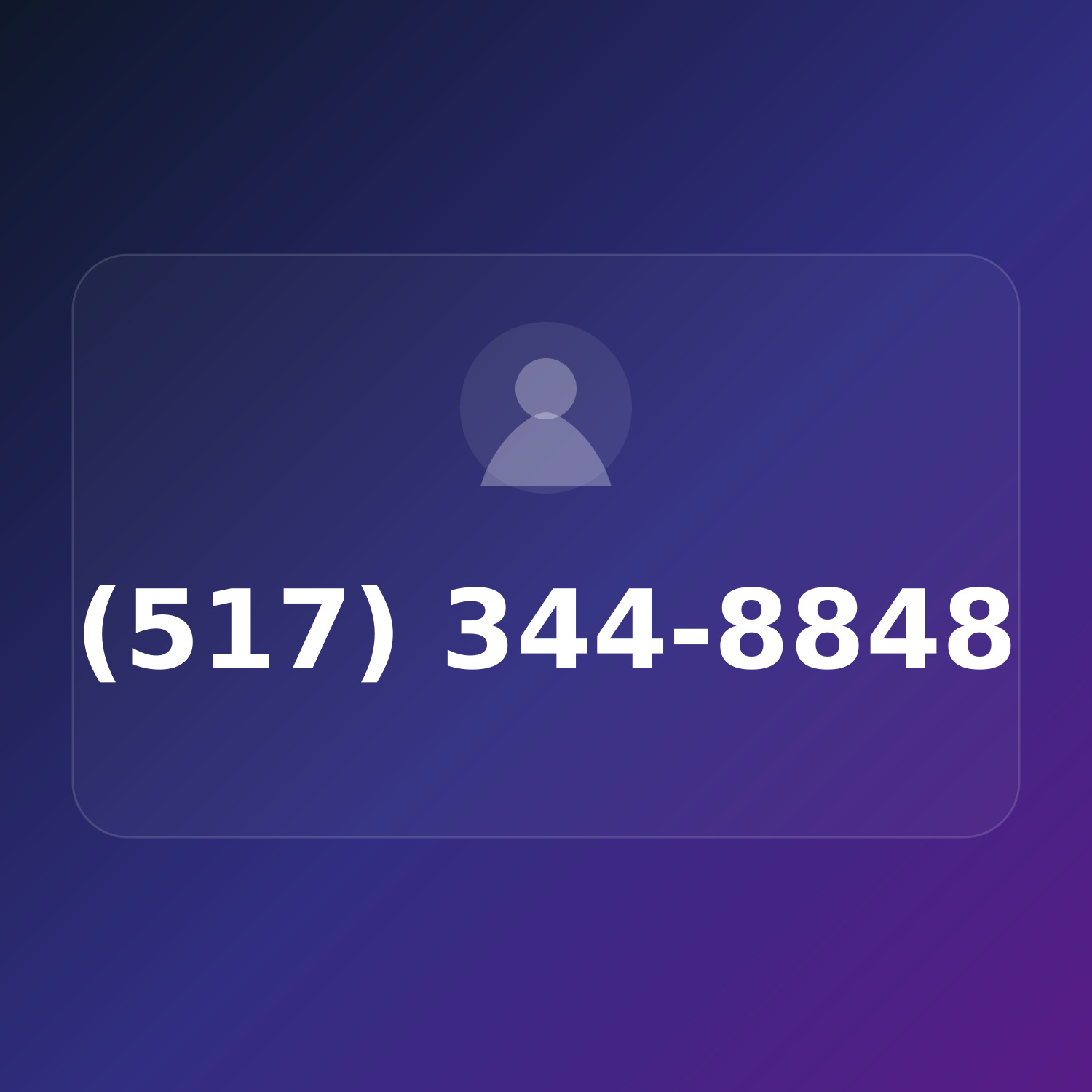 (517) 3-HIT-848 product image