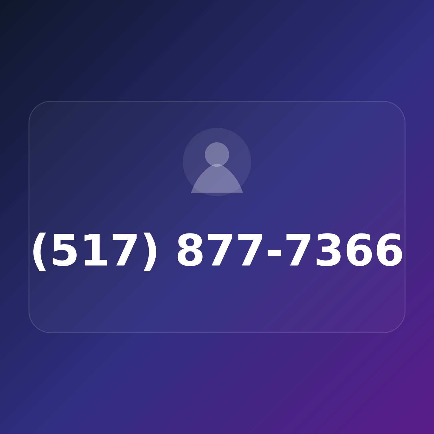 (517) 877-SEO6 product image