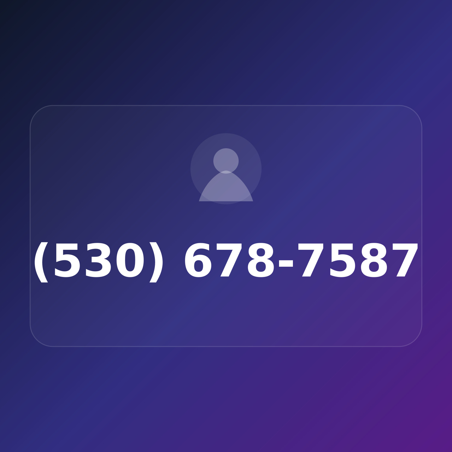 (530) 678-PLUS product image