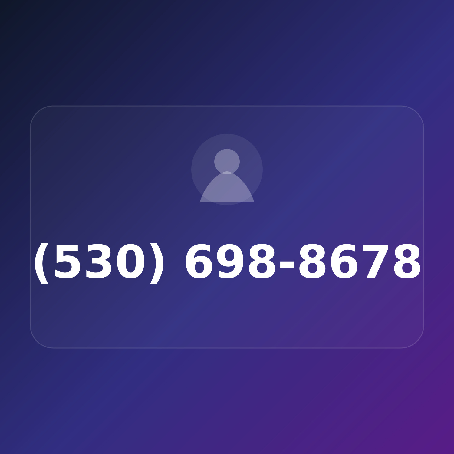 (530) 698-8678 product image
