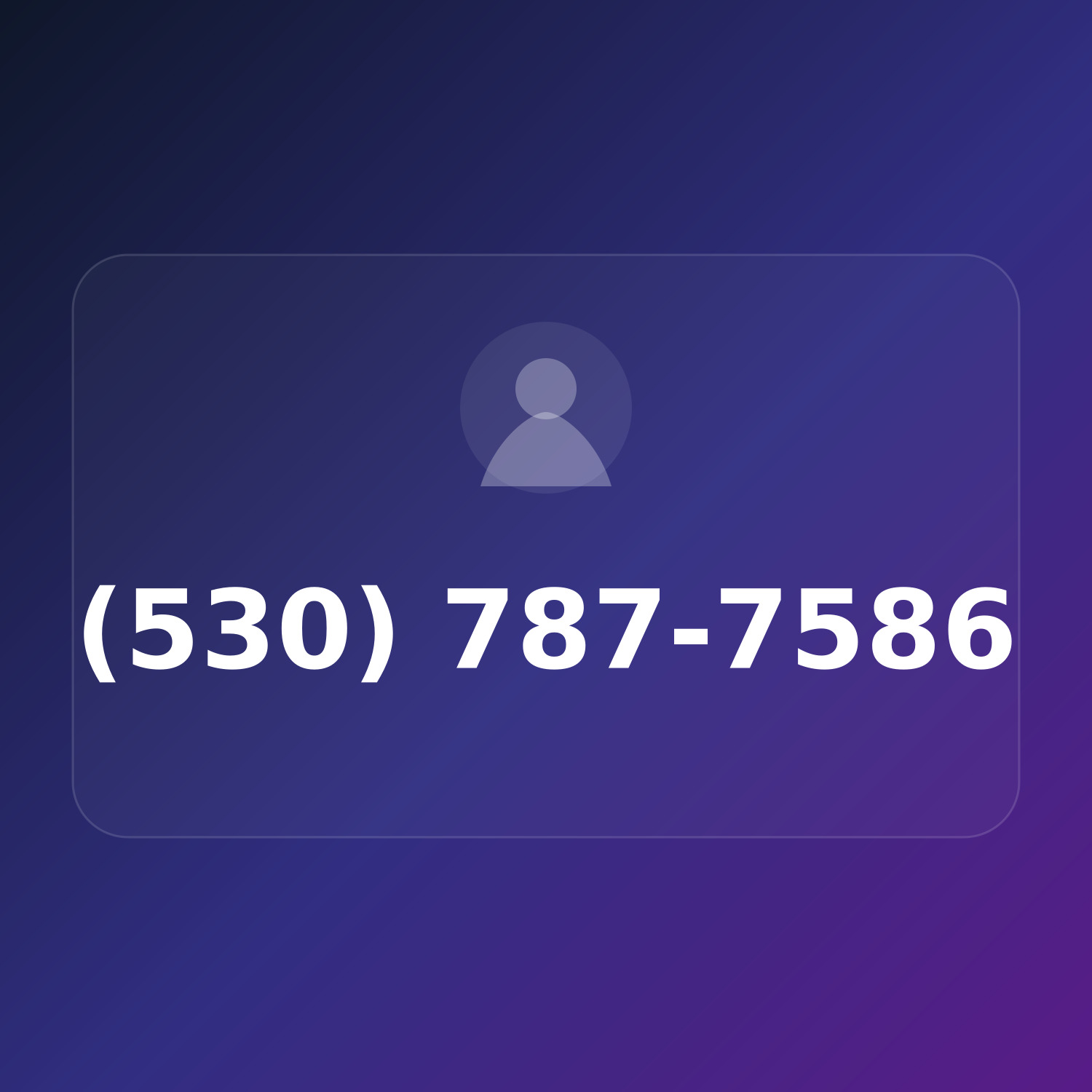 (530) 787-PLUM product image