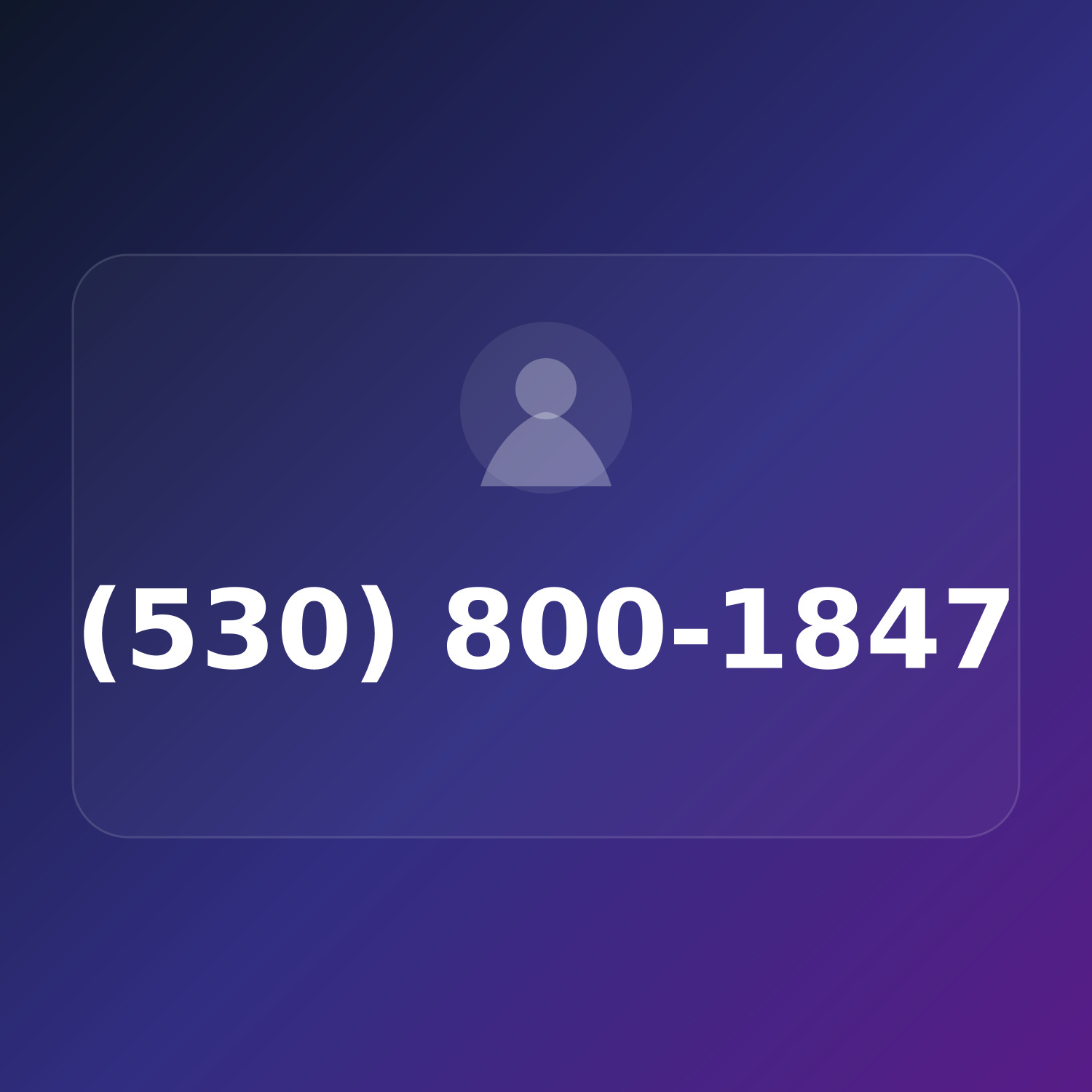 (530) 800-1VIP product image