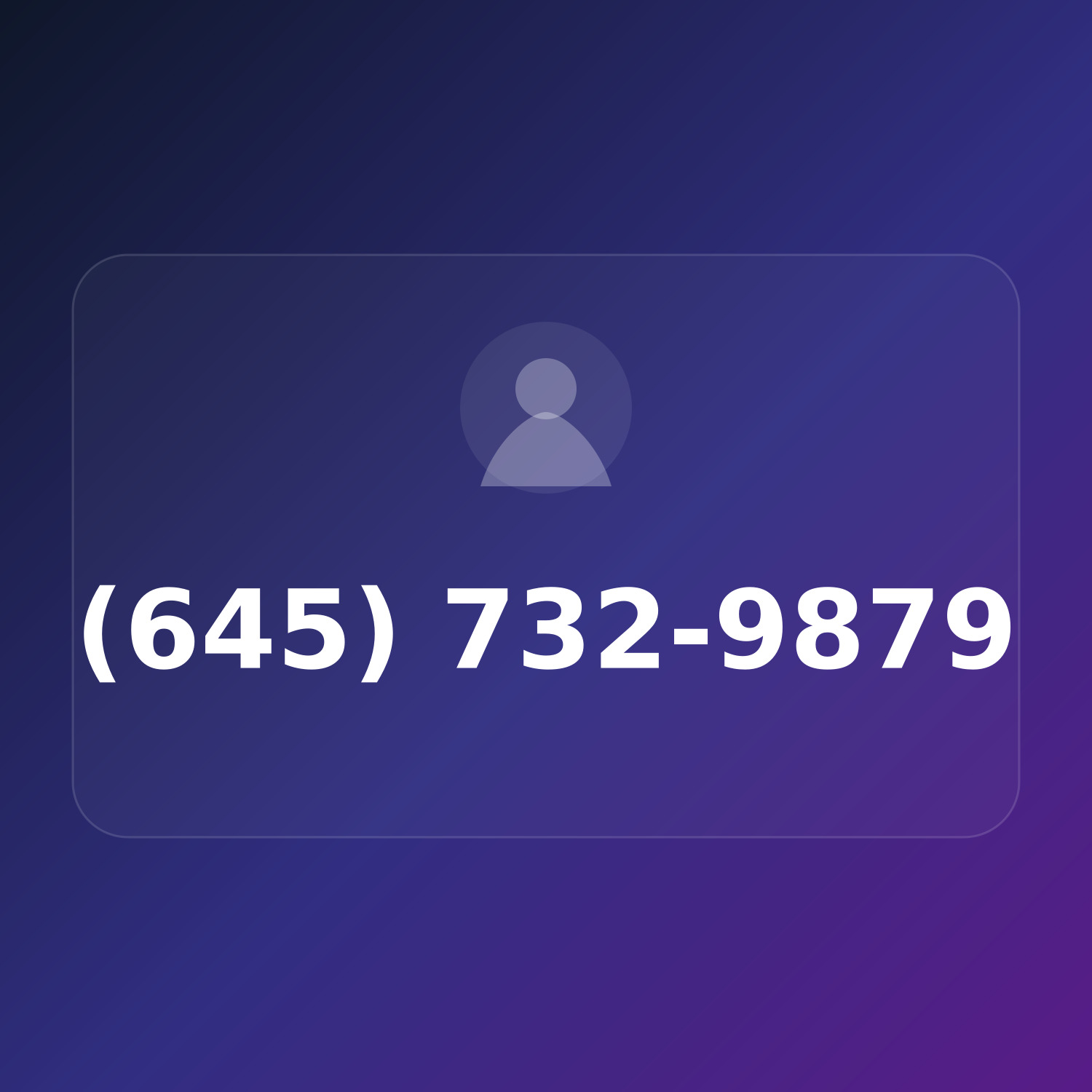 (645) 732-9TRY product image