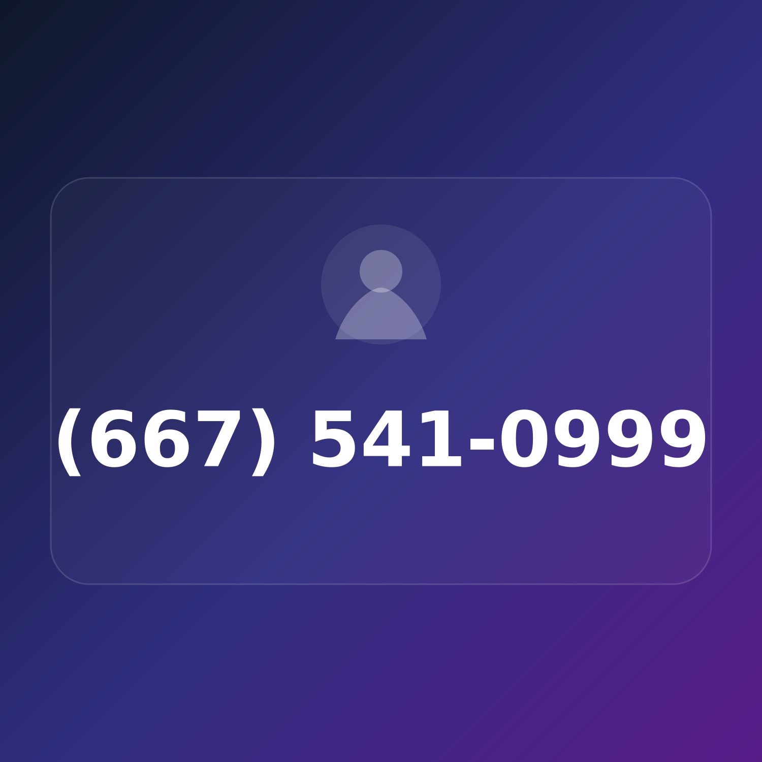 (667) 541-0WWW product image