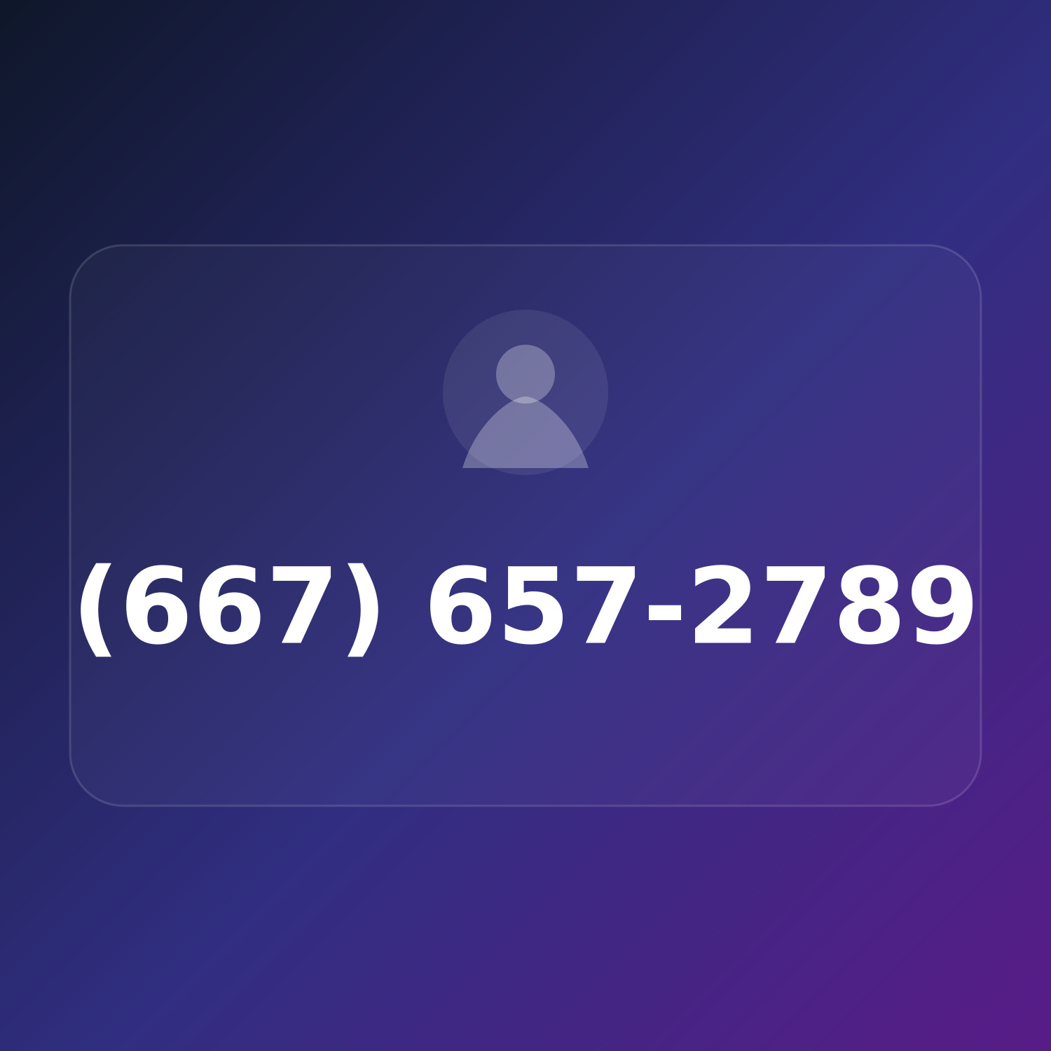 (667) 65-PARTY product image
