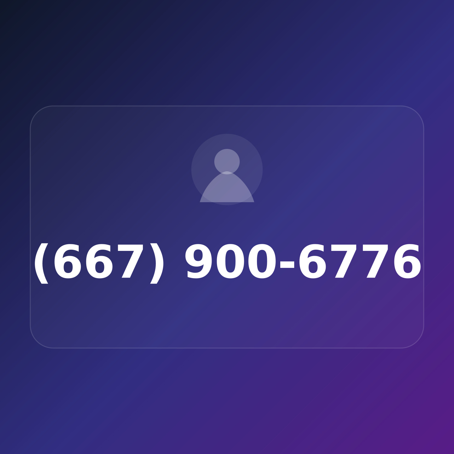 (667) 900-6PRO product image