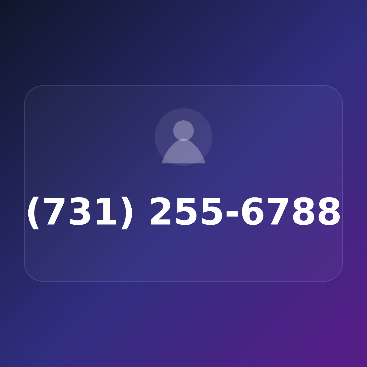 (731) 25-LOST-8 product image