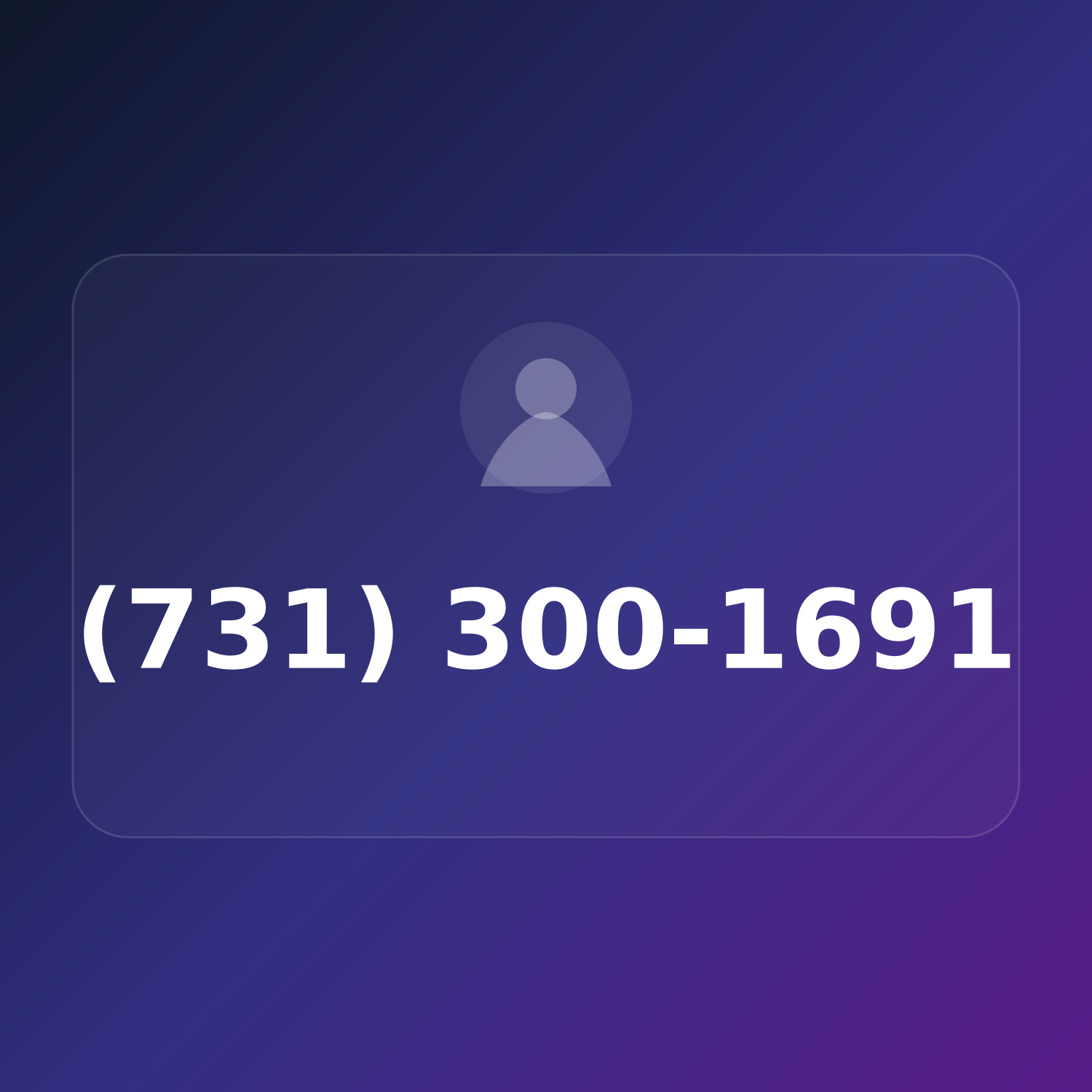 (731) 300-1691 product image