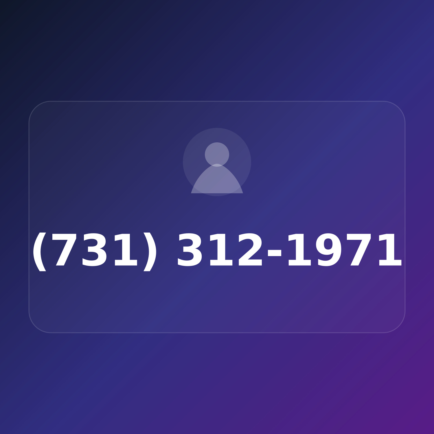 (731) 312-1971 product image