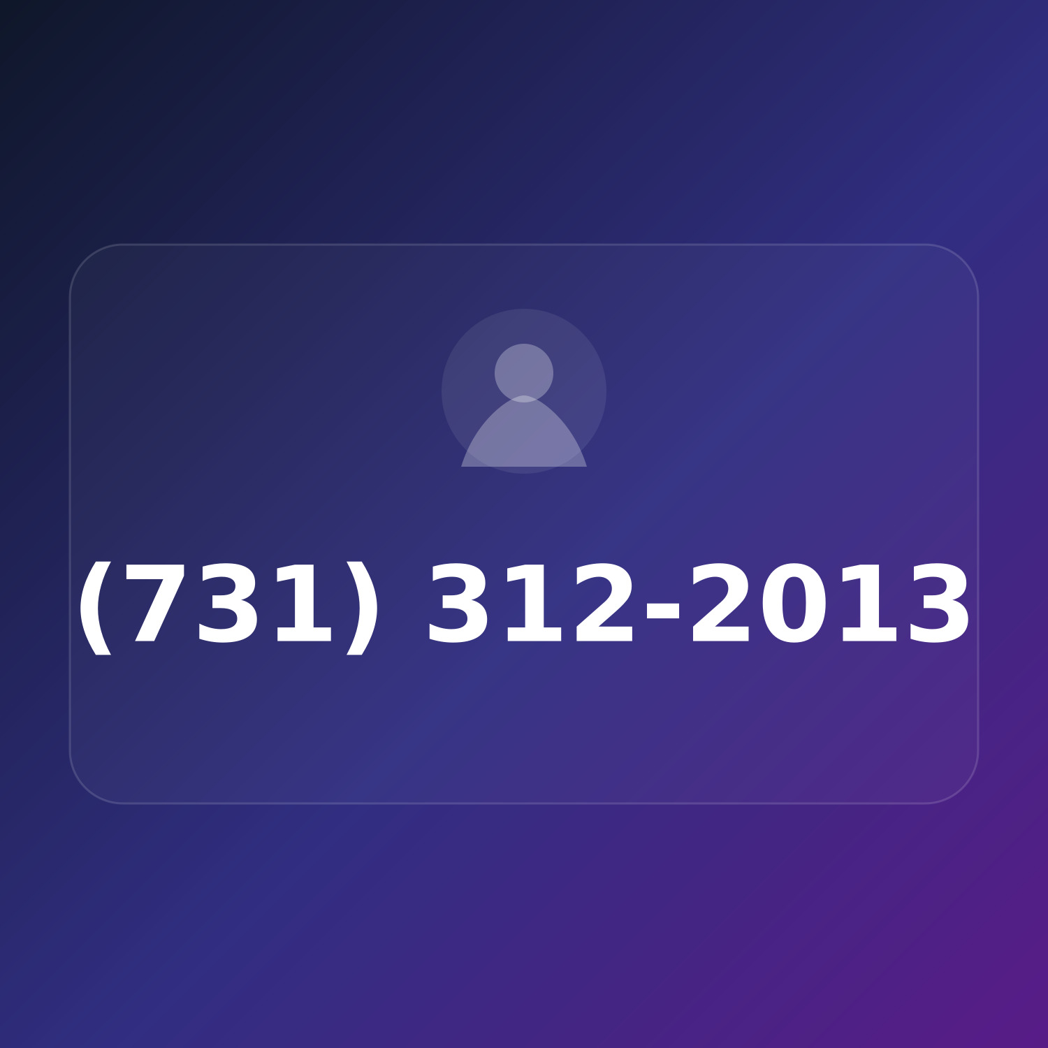 (731) 312-2013 product image