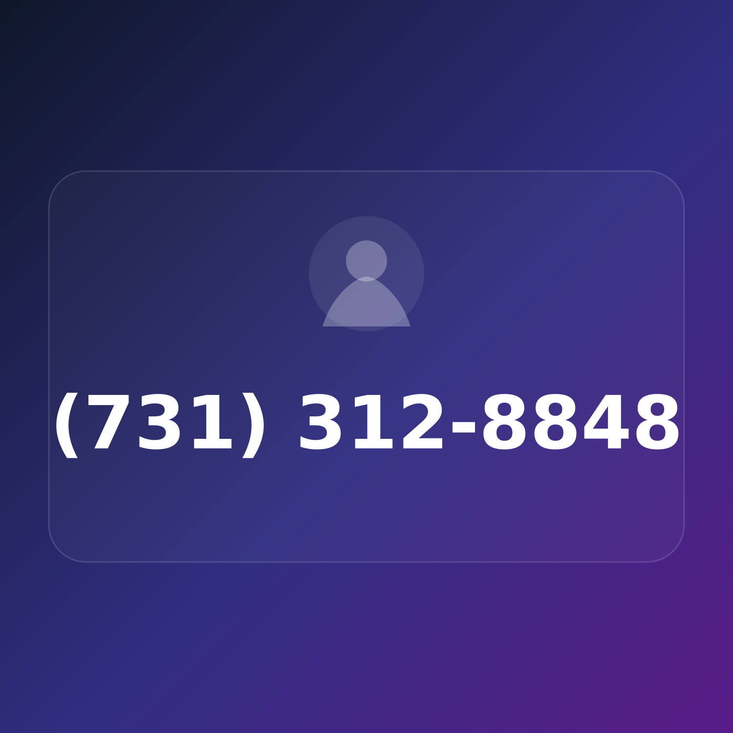 (731) 312-8848 product image