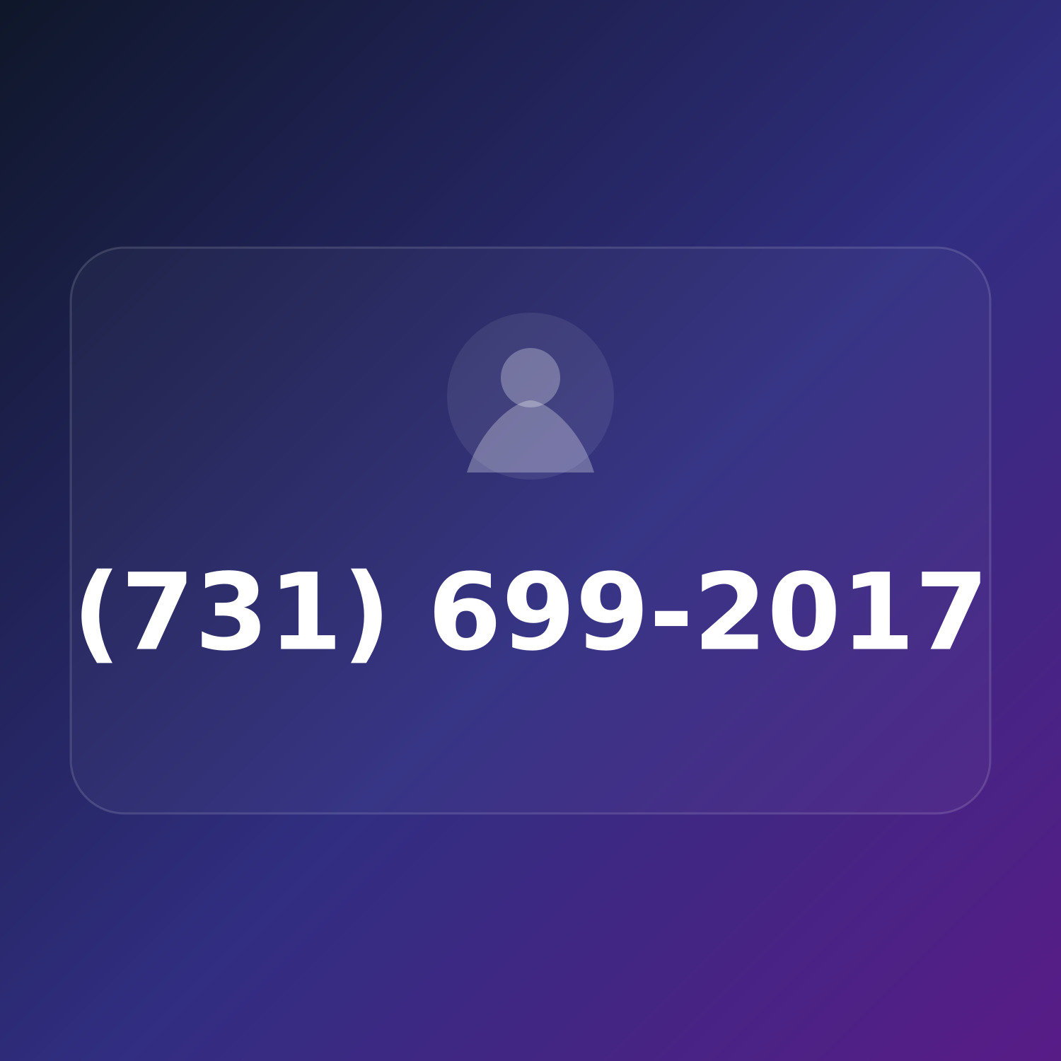 (731) 699-2017 product image