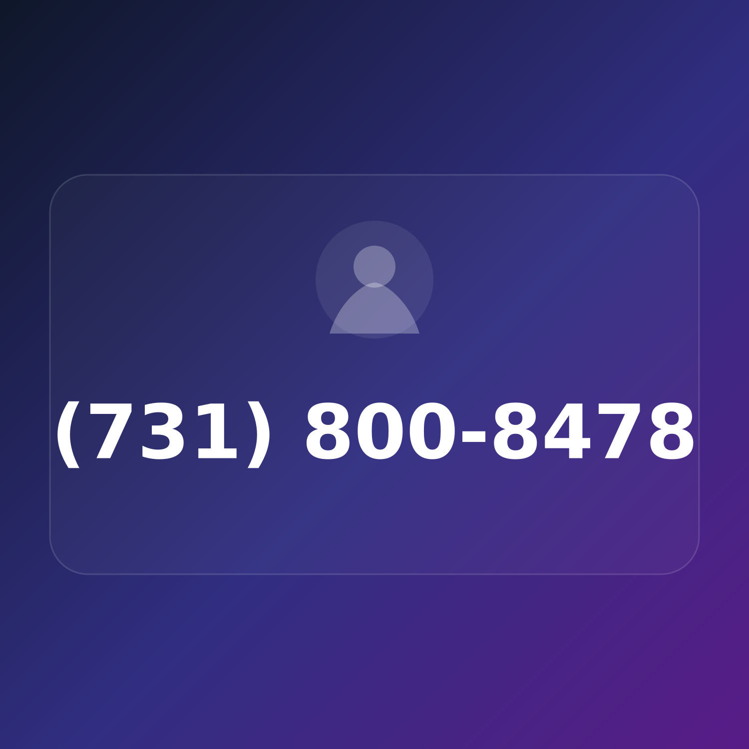 (731) 800-8HST product image