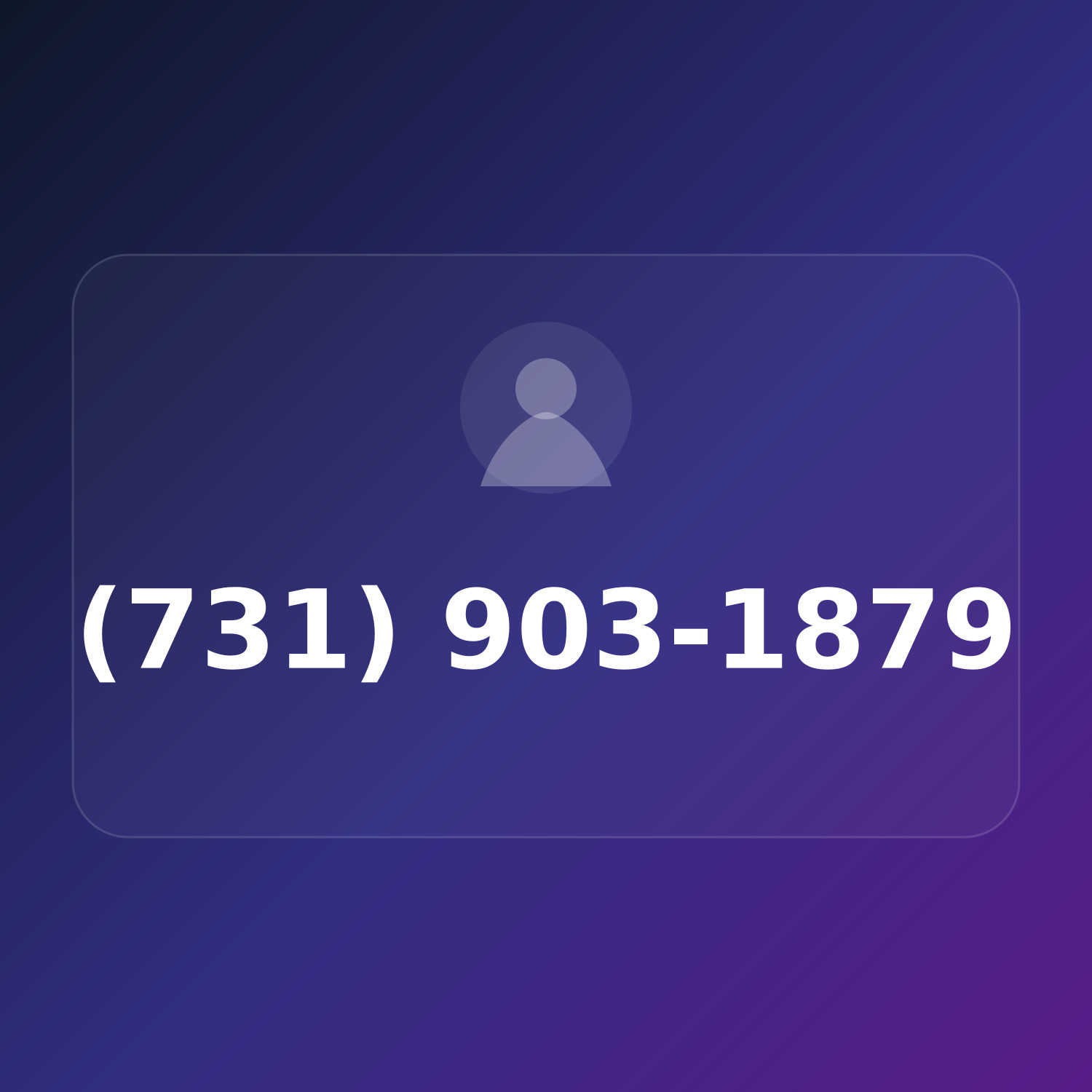 (731) 903-1TRY product image