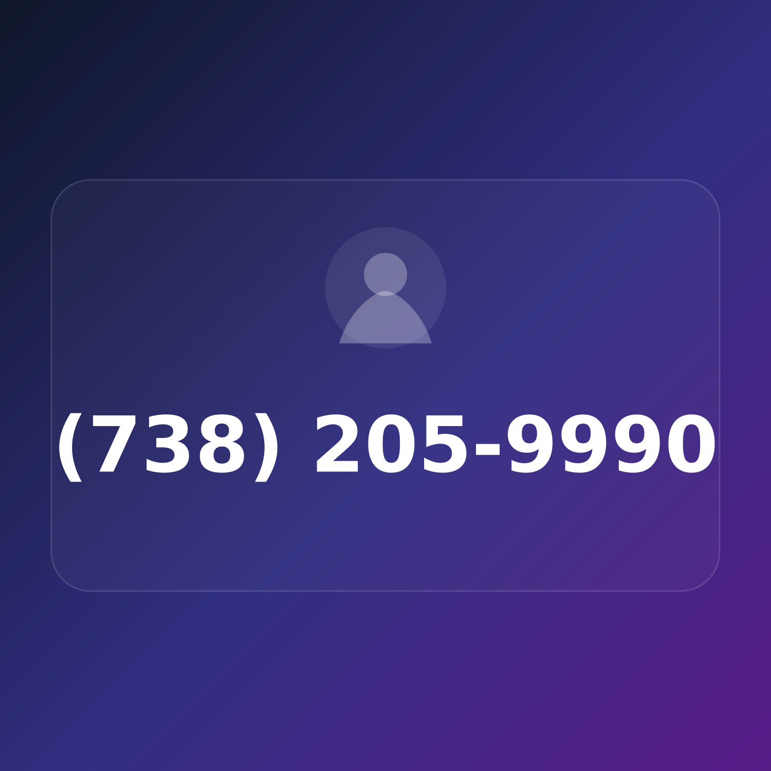 (738) 205-WWW0 product image