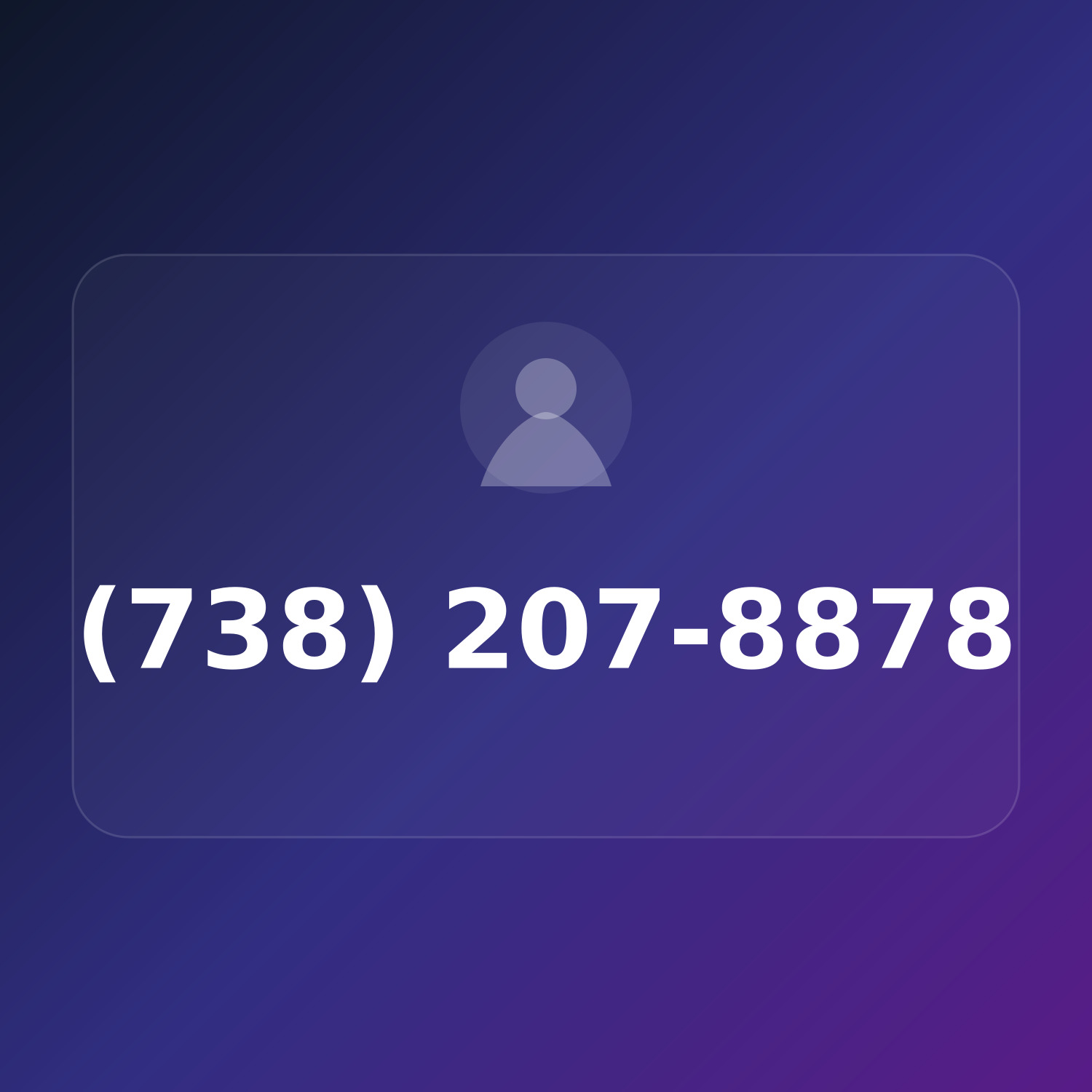 (738) 20-PUTS-8 product image