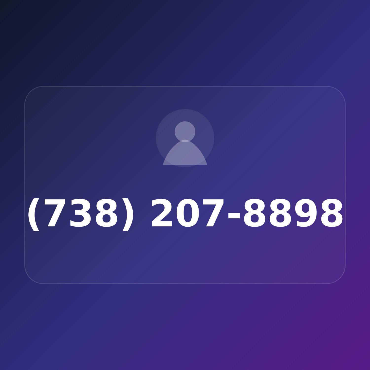 (738) 20-PUT-98 product image