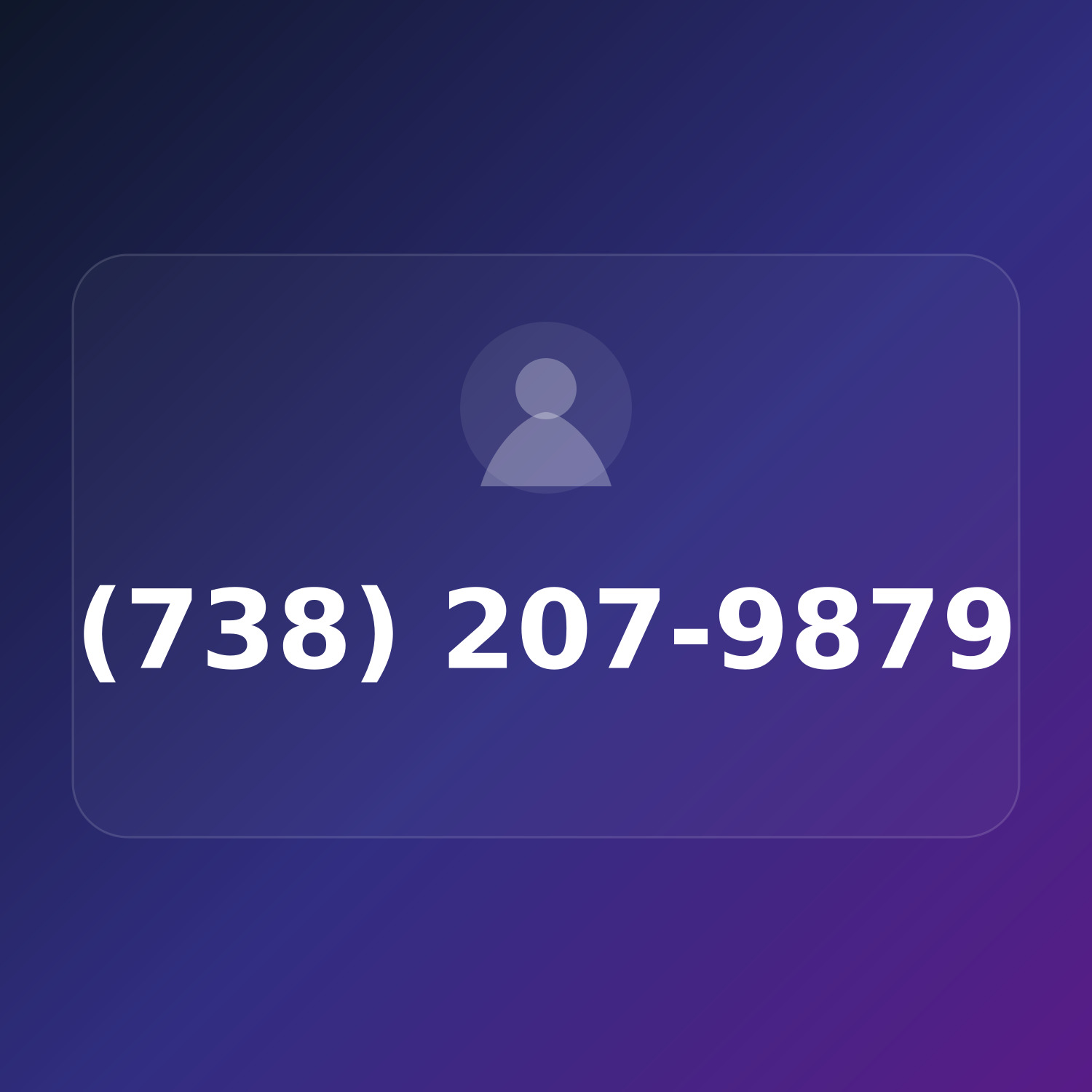(738) 207-9TRY product image
