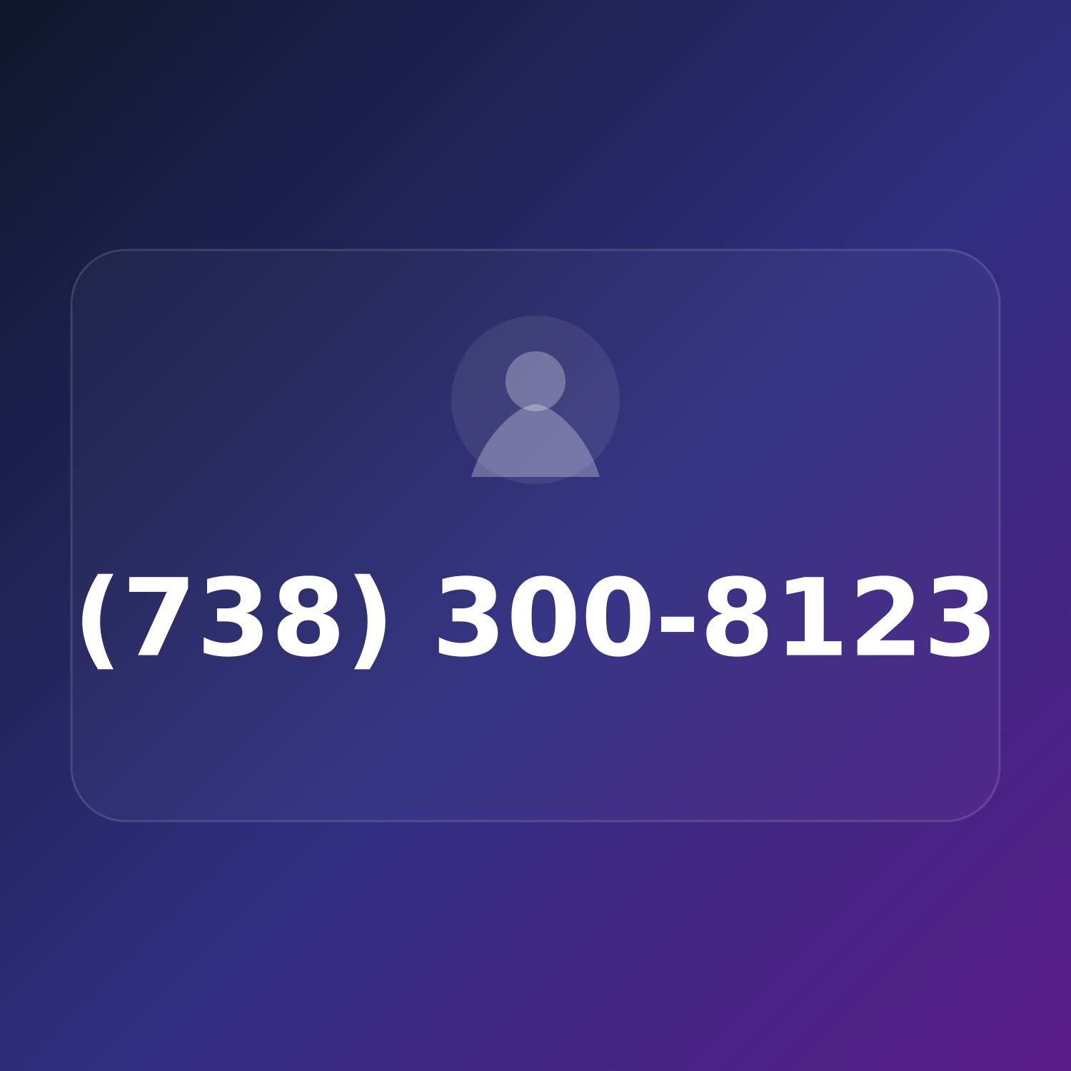 (738) 300-8123 product image