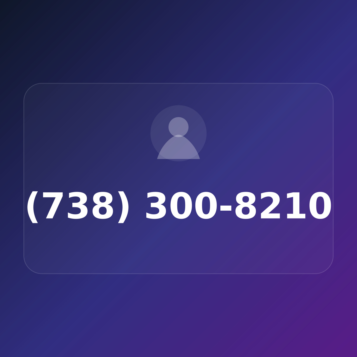 (738) 300-8210 product image