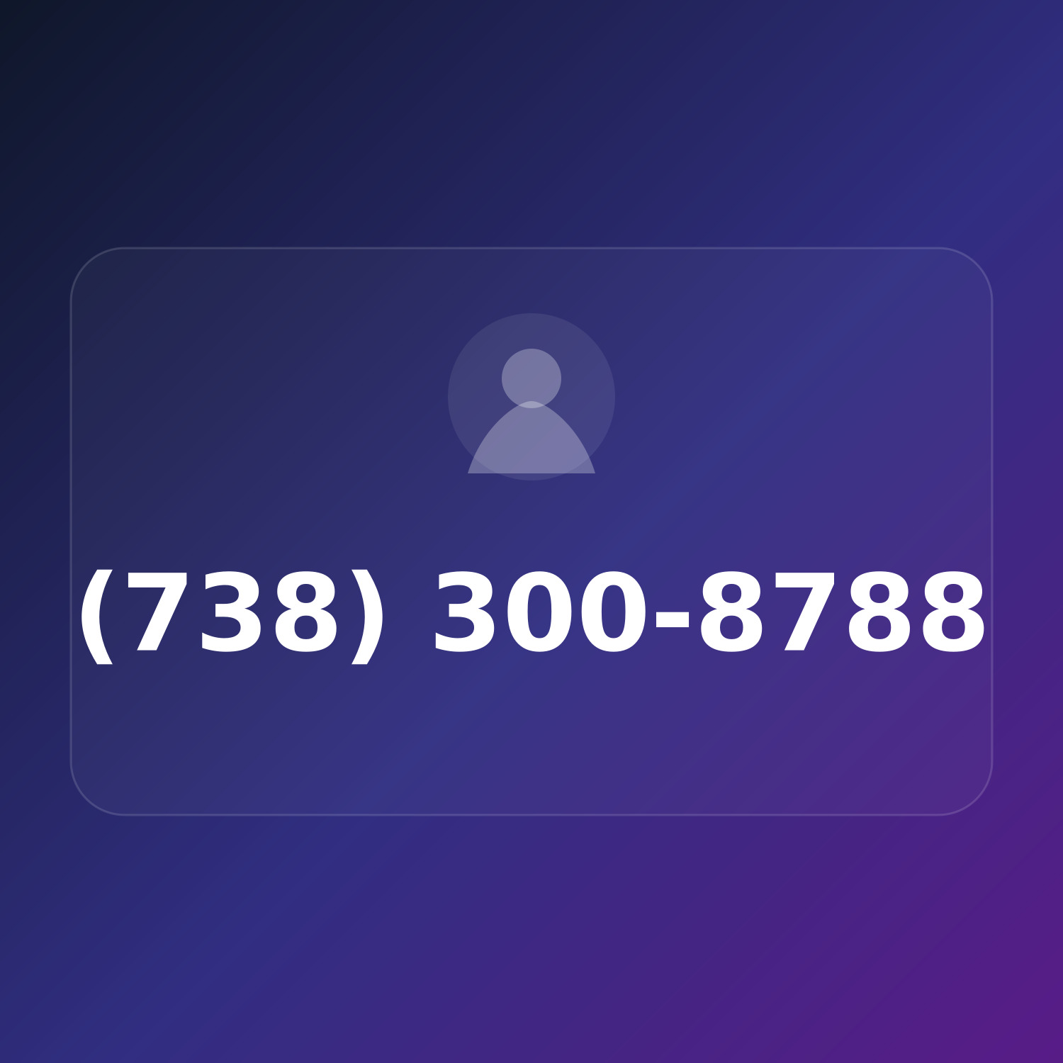 (738) 300-8PUT product image